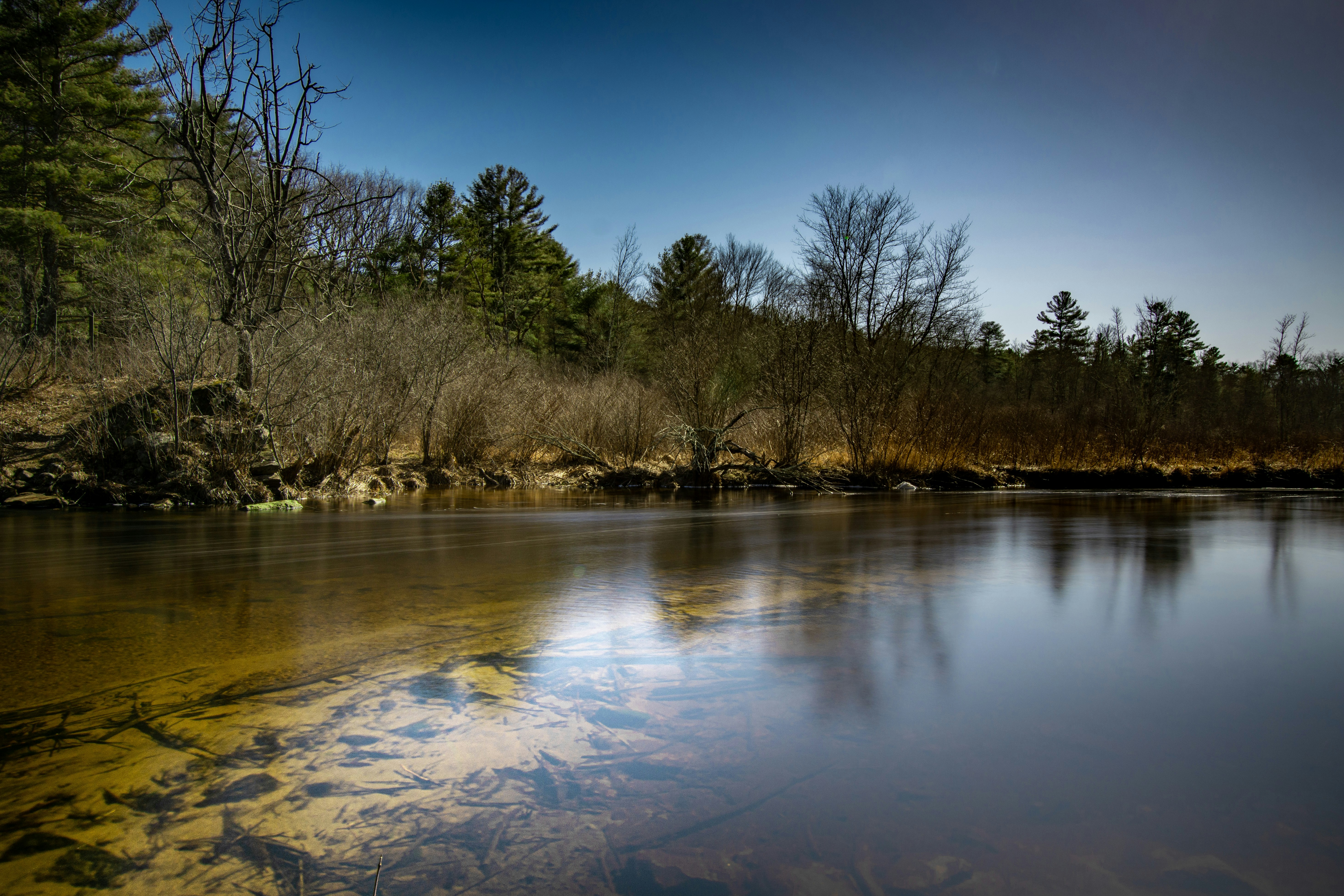 Photo by seewonderfulthings