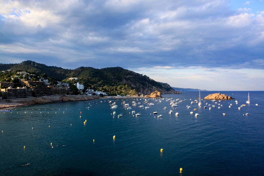 a large body of water filled with lots of boats