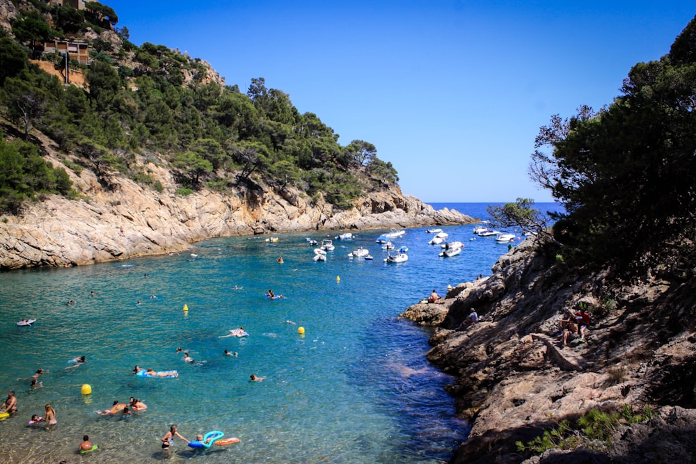 a group of people swimming in a body of water