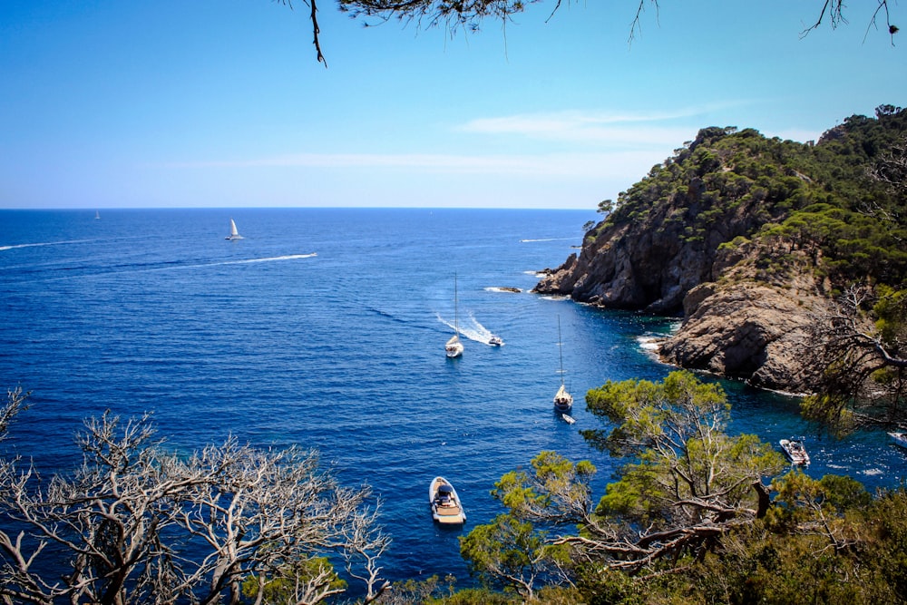 a group of boats floating on top of a large body of water