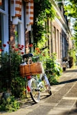 A vintage bicycle with a wicker basket is parked along a charming street lined with red flowers and lush greenery. The brick houses have orange and cream striped awnings, and sunlight casts dappled shadows on the cobblestone pavement.