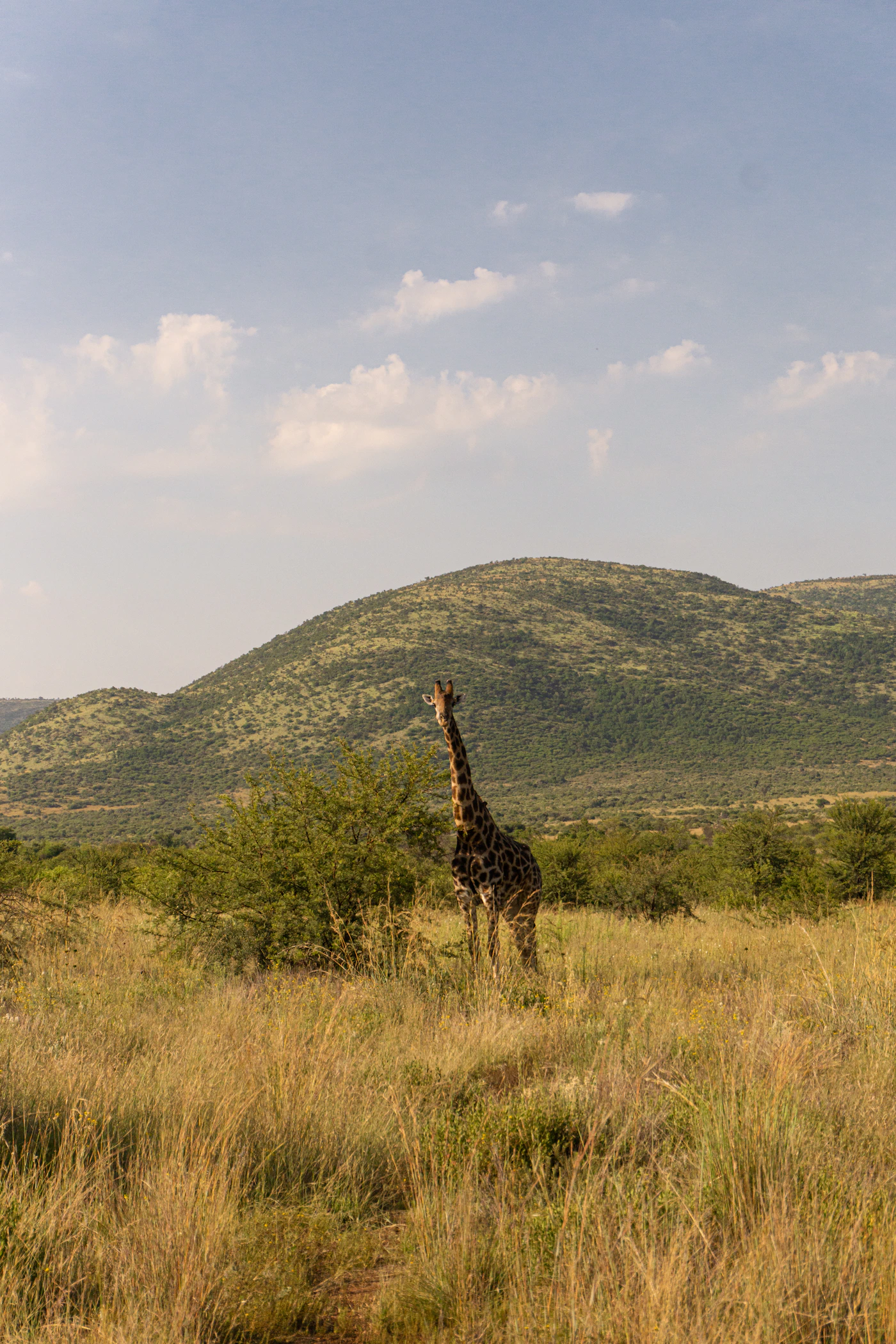 Pilanesberg National Park