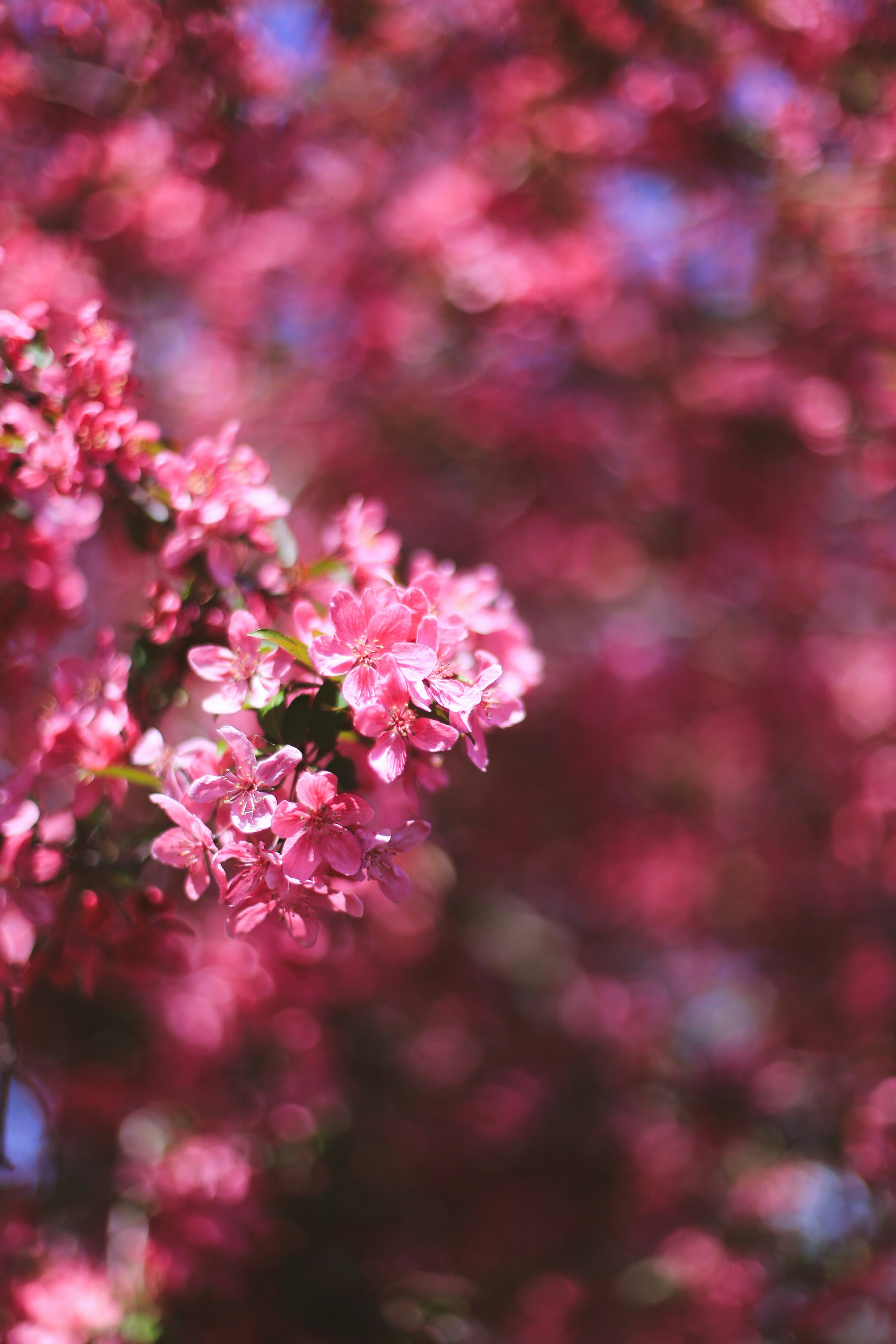 Photo by jessicalfadel