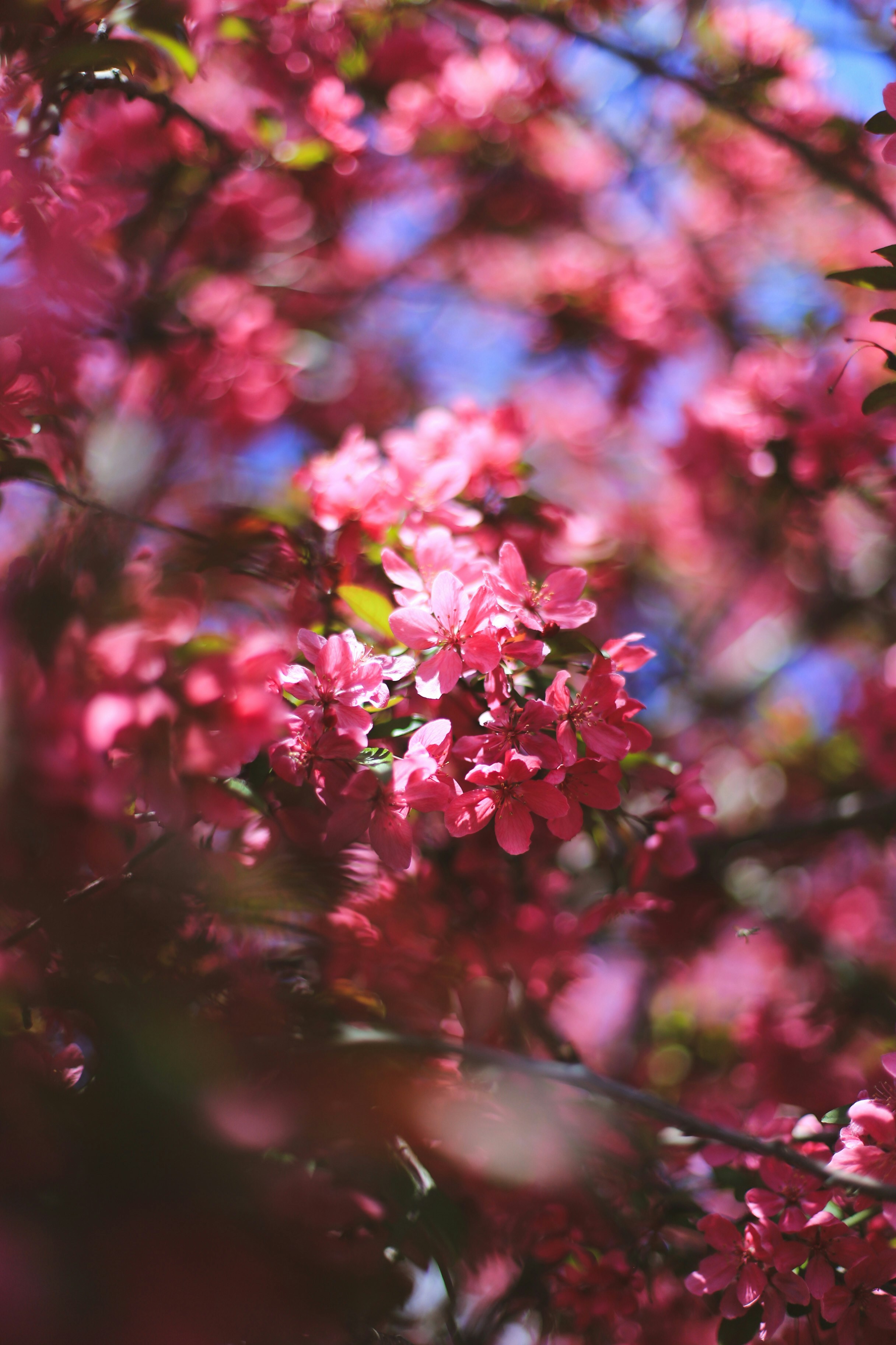 Photo by jessicalfadel