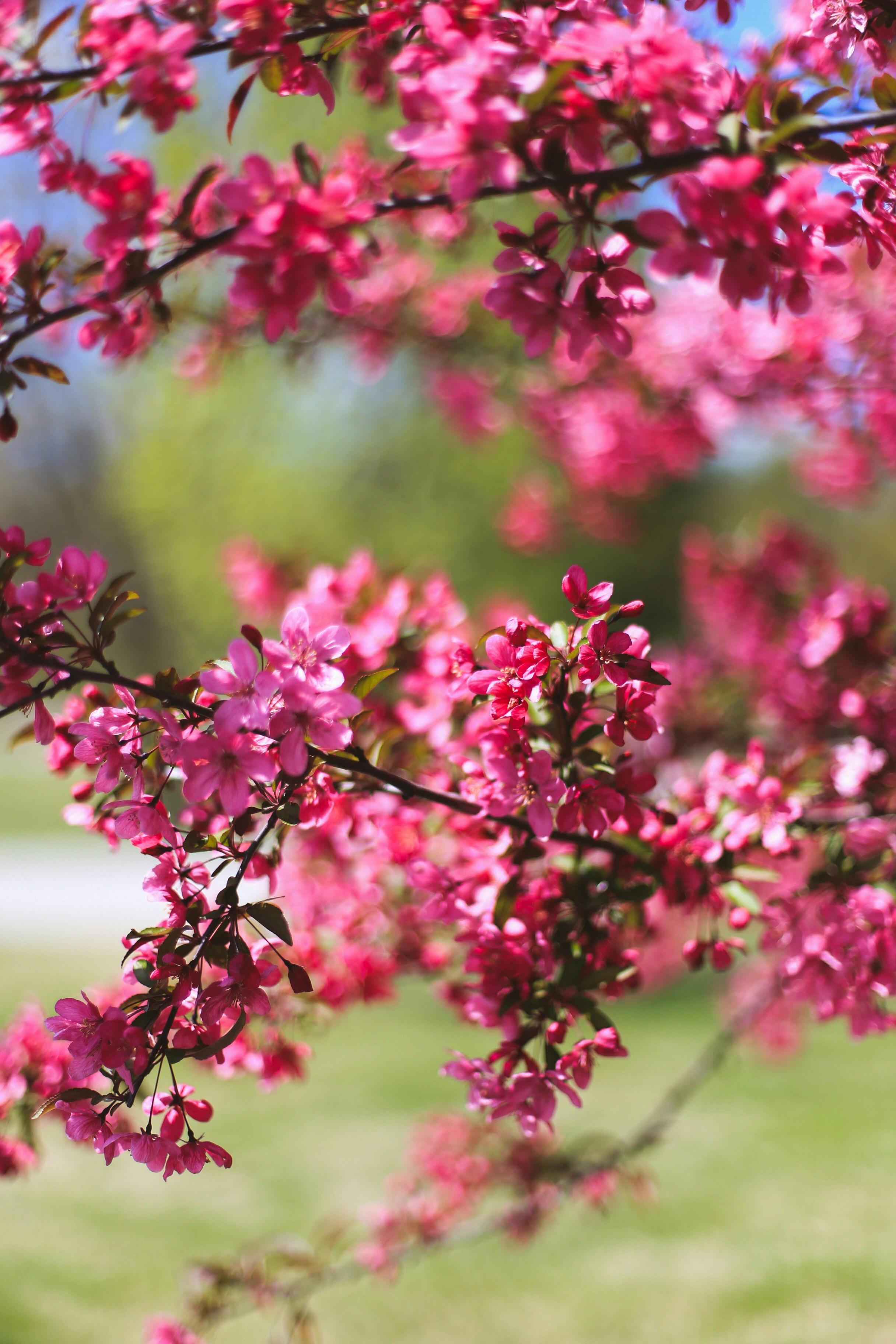 Photo by jessicalfadel