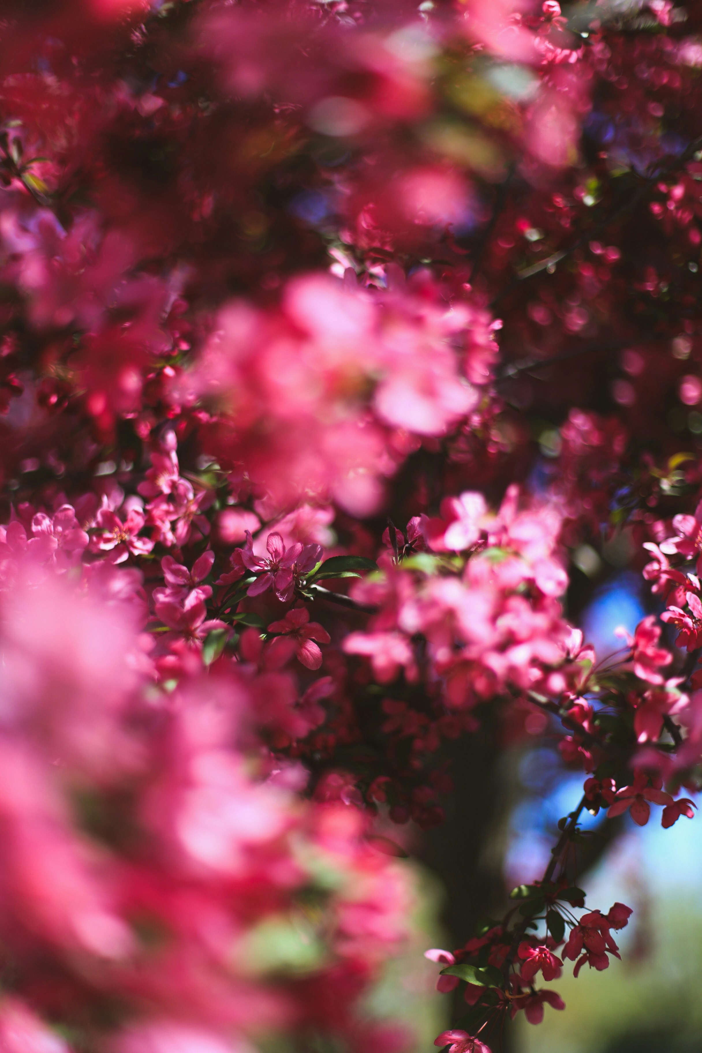 Photo by jessicalfadel