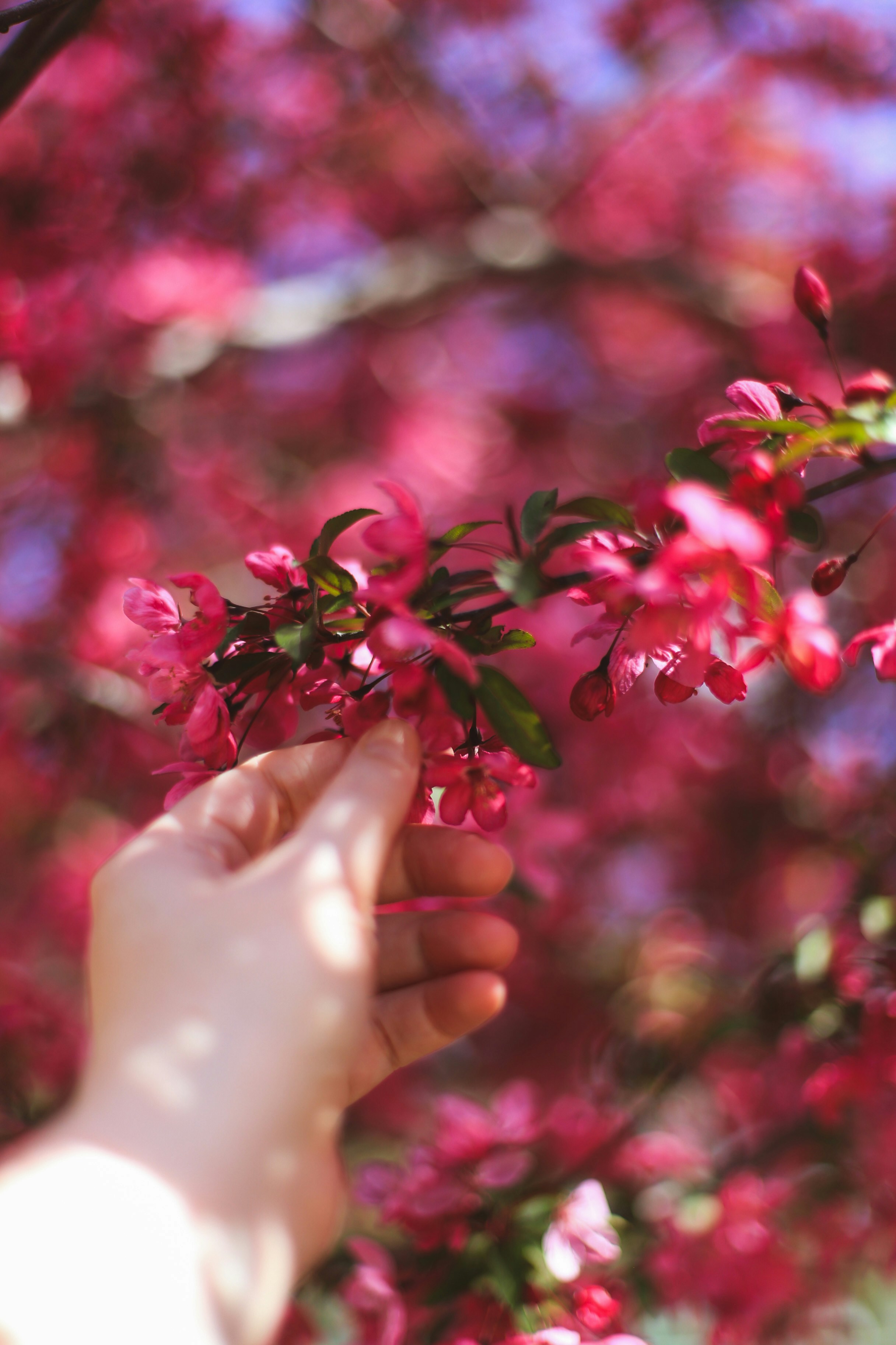 Photo by jessicalfadel