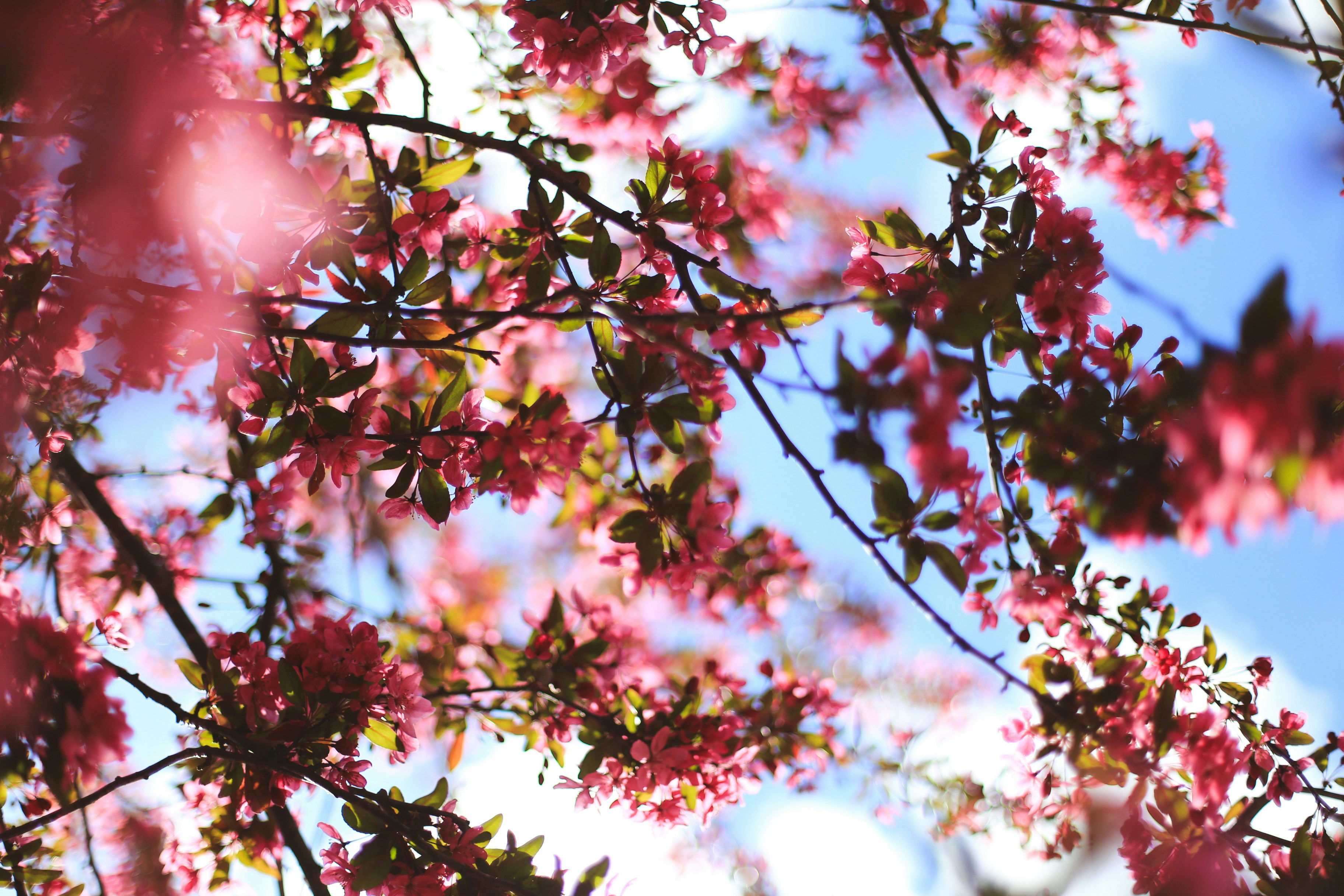 Photo by jessicalfadel