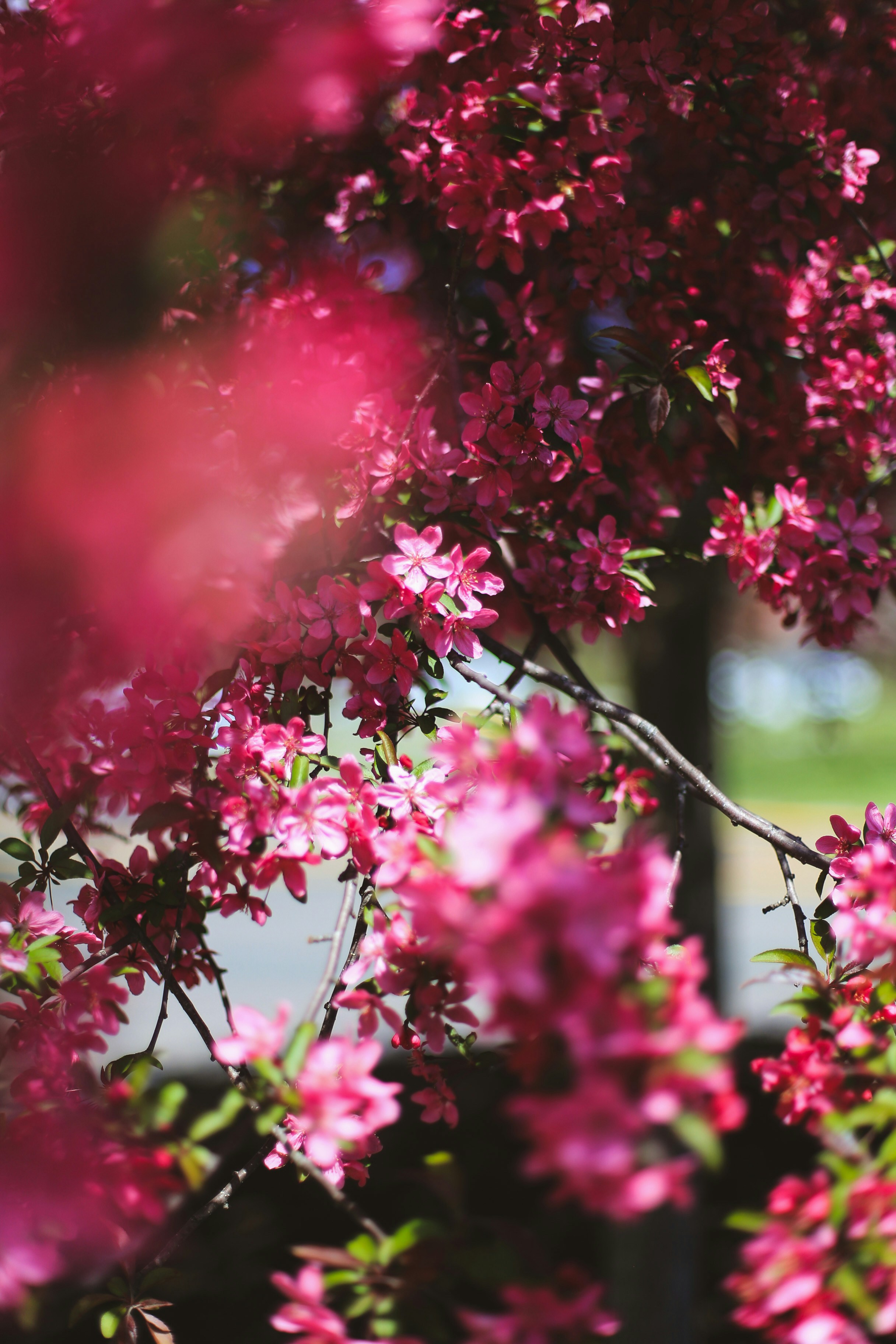 Photo by jessicalfadel