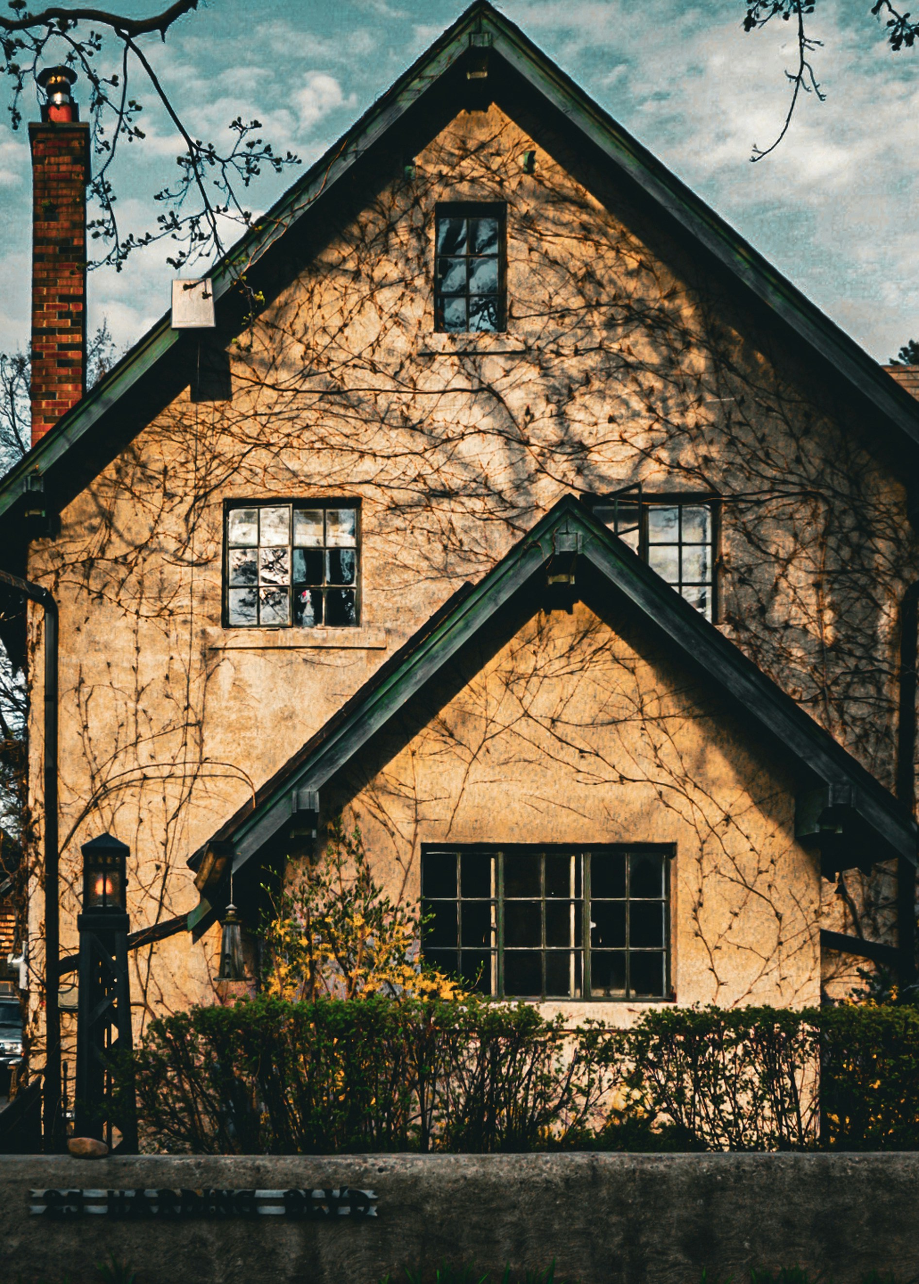 Photo by meri_vasilevski