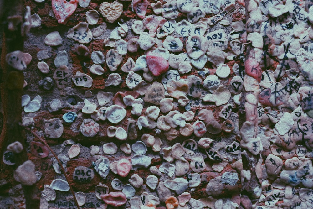 a wall covered in lots of different types of rocks