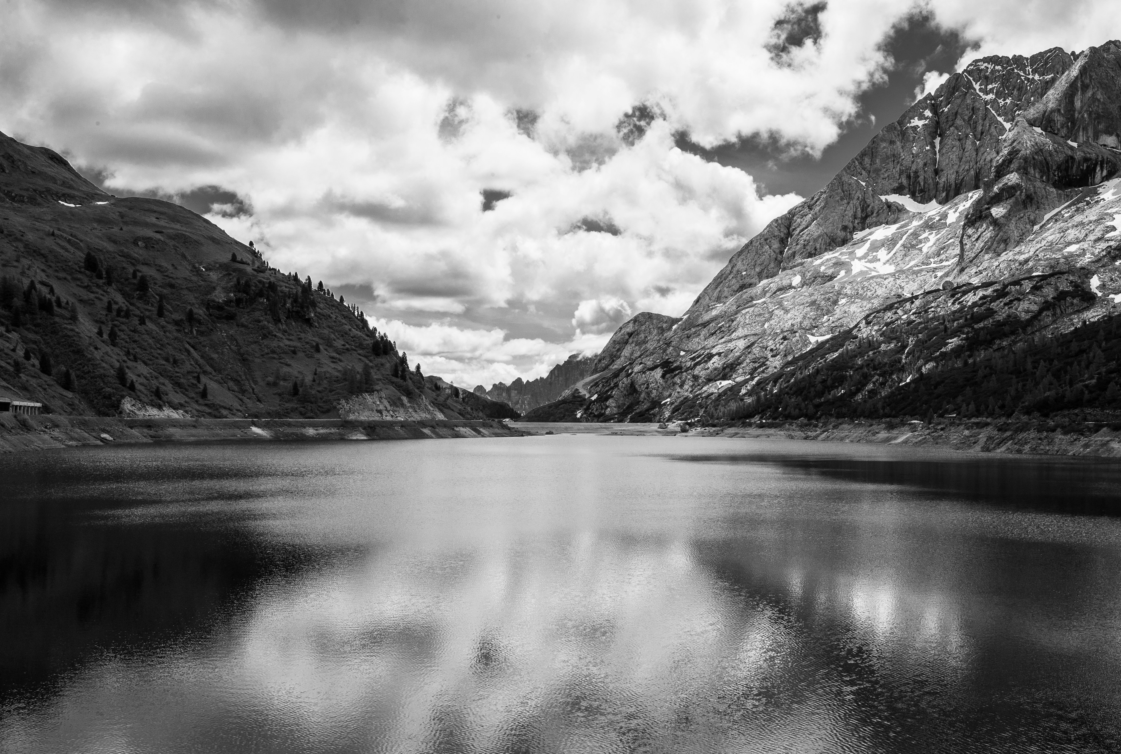 Photo by florianschmid