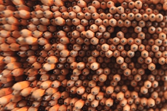 A close-up of classic wooden pencils neatly arranged on a rustic wooden table.