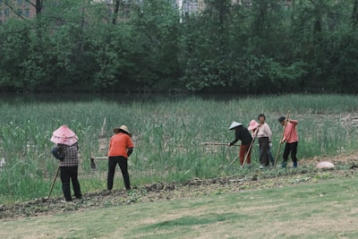 A group of six people are working together on a patch of land, engaging in agricultural activities. They are dressed in various colors with some donning traditional hats. The background consists of dense green foliage and trees, with a marshy area or river behind the workers. The scene suggests a rural setting with natural surroundings.