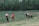 A group of six people are working together on a patch of land, engaging in agricultural activities. They are dressed in various colors with some donning traditional hats. The background consists of dense green foliage and trees, with a marshy area or river behind the workers. The scene suggests a rural setting with natural surroundings.