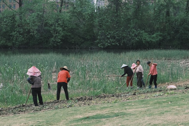 A group of six people are working together on a patch of land, engaging in agricultural activities. They are dressed in various colors with some donning traditional hats. The background consists of dense green foliage and trees, with a marshy area or river behind the workers. The scene suggests a rural setting with natural surroundings.