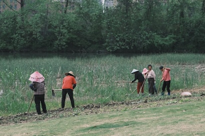 A group of six people are working together on a patch of land, engaging in agricultural activities. They are dressed in various colors with some donning traditional hats. The background consists of dense green foliage and trees, with a marshy area or river behind the workers. The scene suggests a rural setting with natural surroundings.