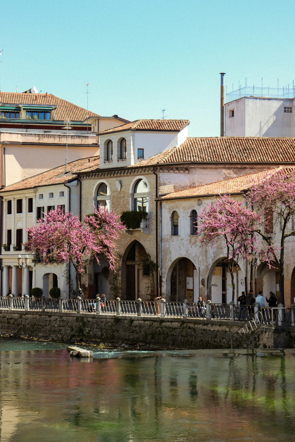 a body of water surrounded by buildings and trees