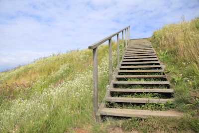 a set of stairs going up a grassy hill
