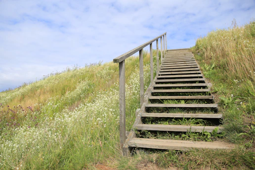 a set of stairs going up a grassy hill