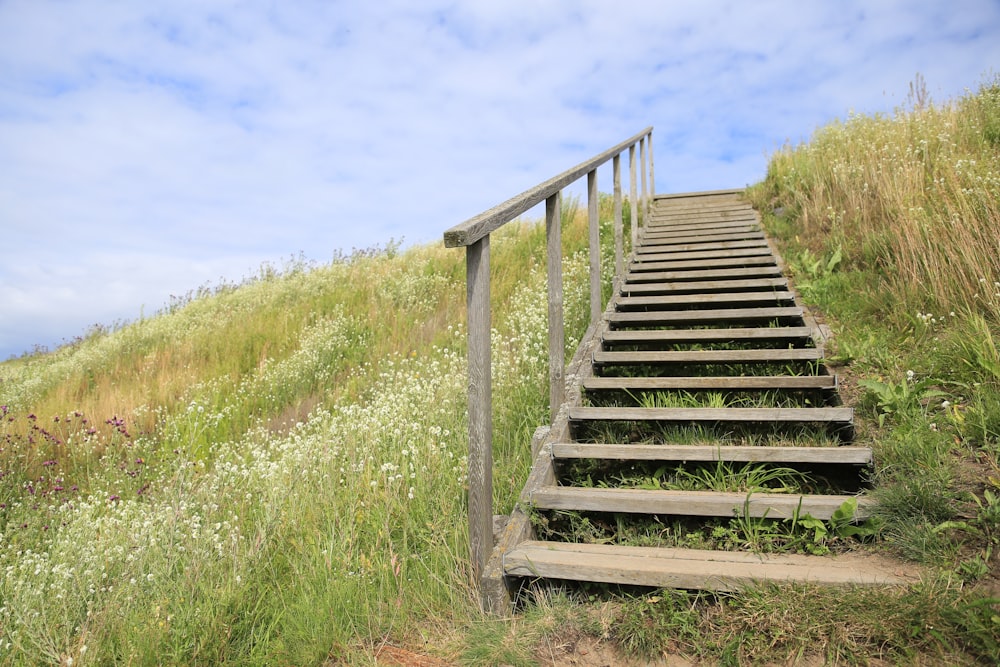 a set of stairs going up a grassy hill