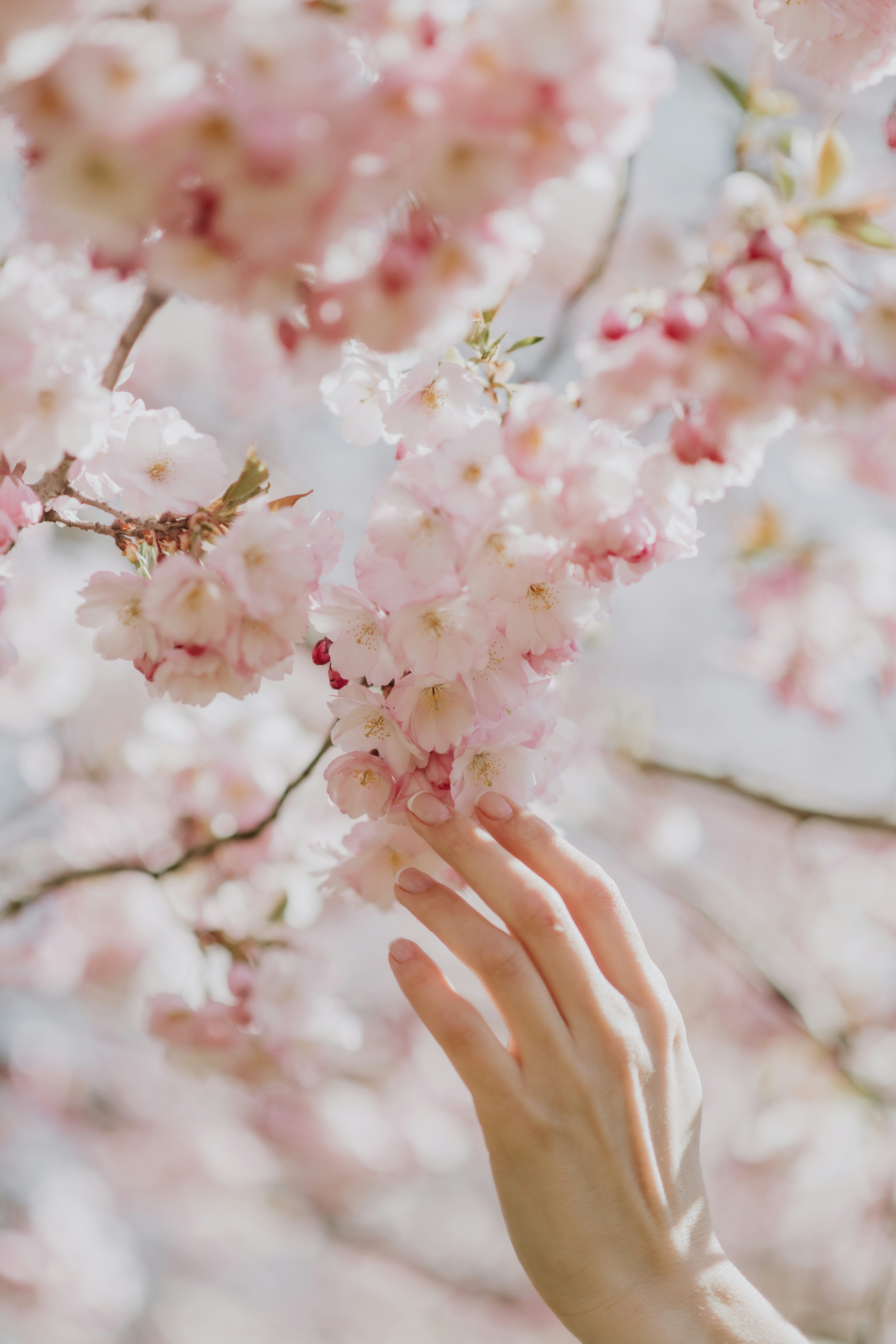 Photo by anitaaustvika