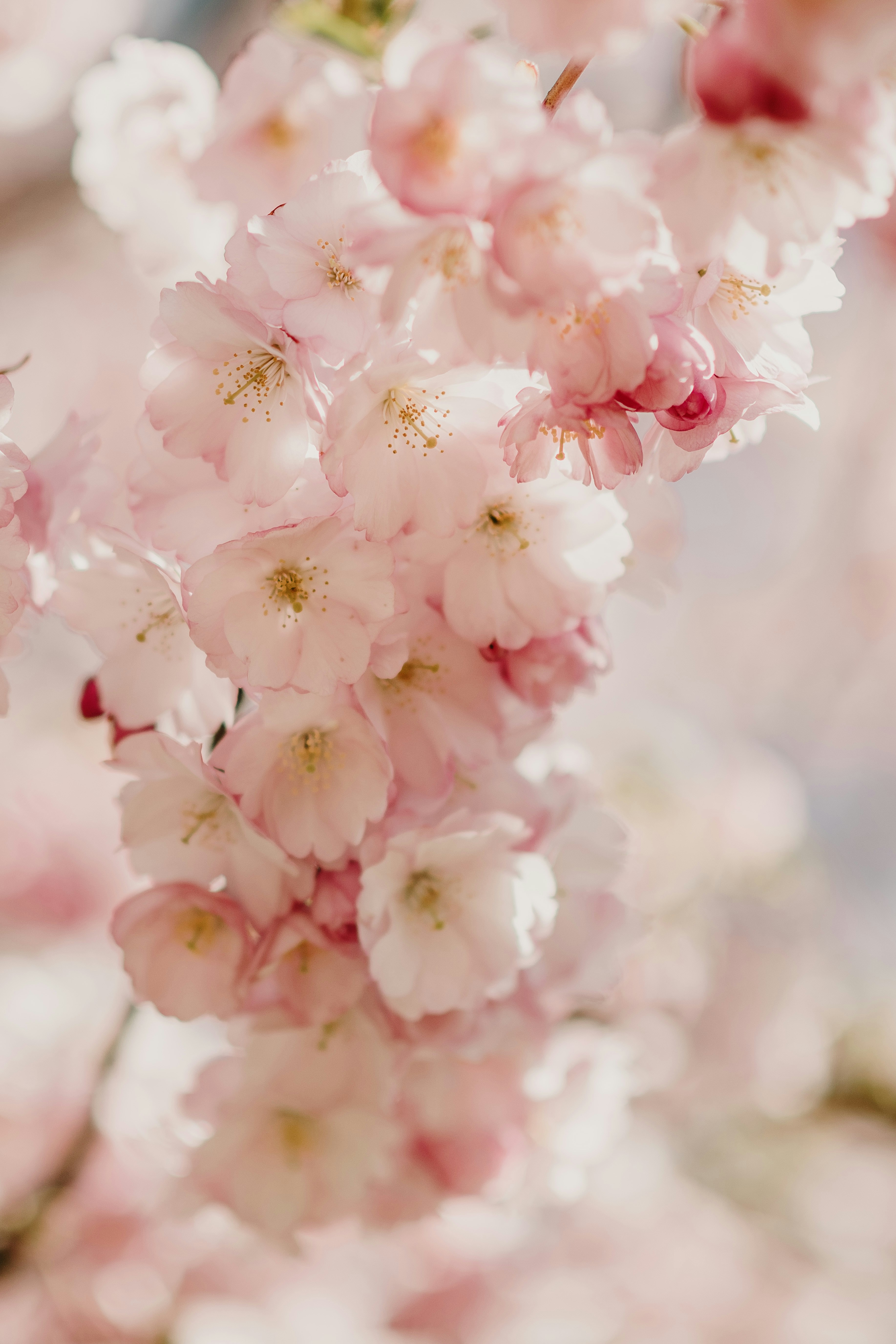 Photo by anitaaustvika