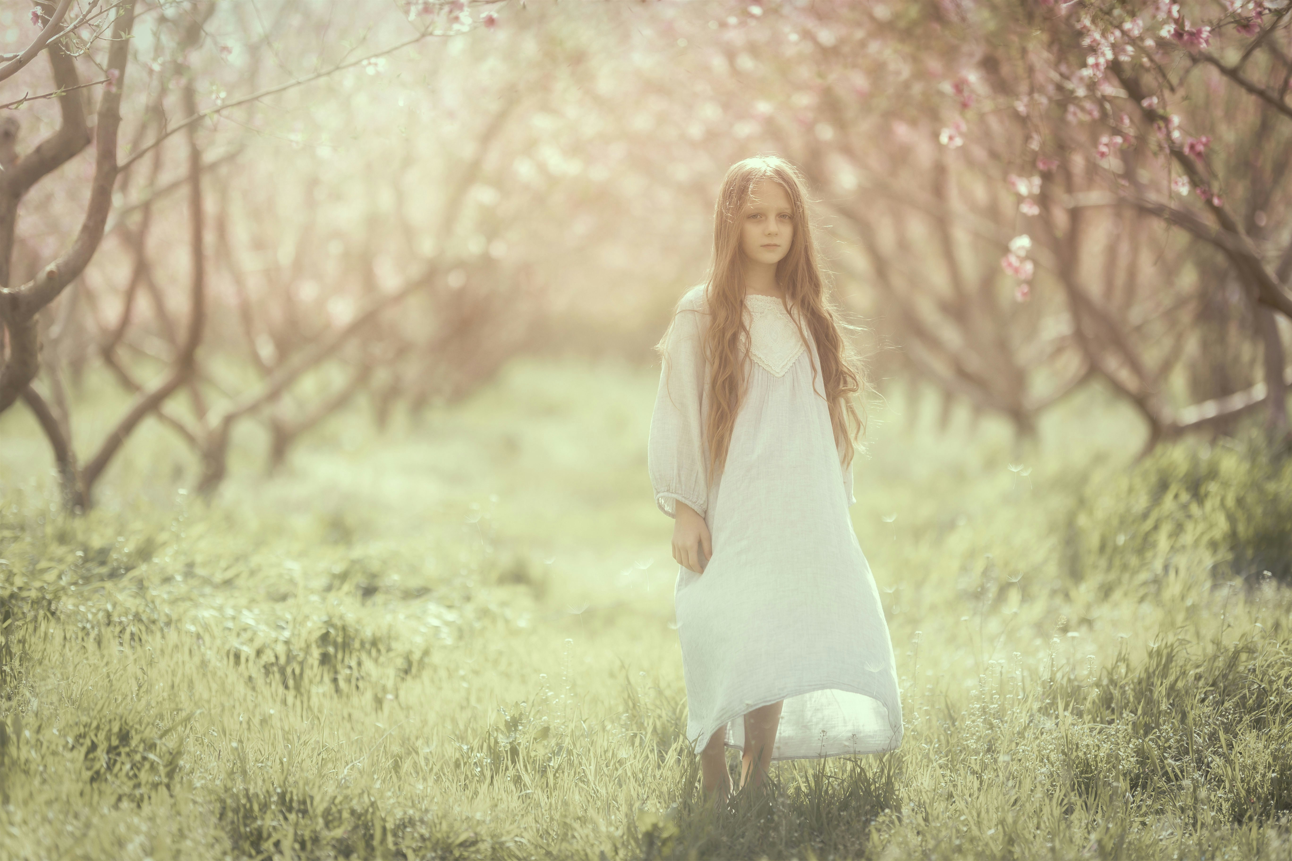 Photo by shahinkhalaji