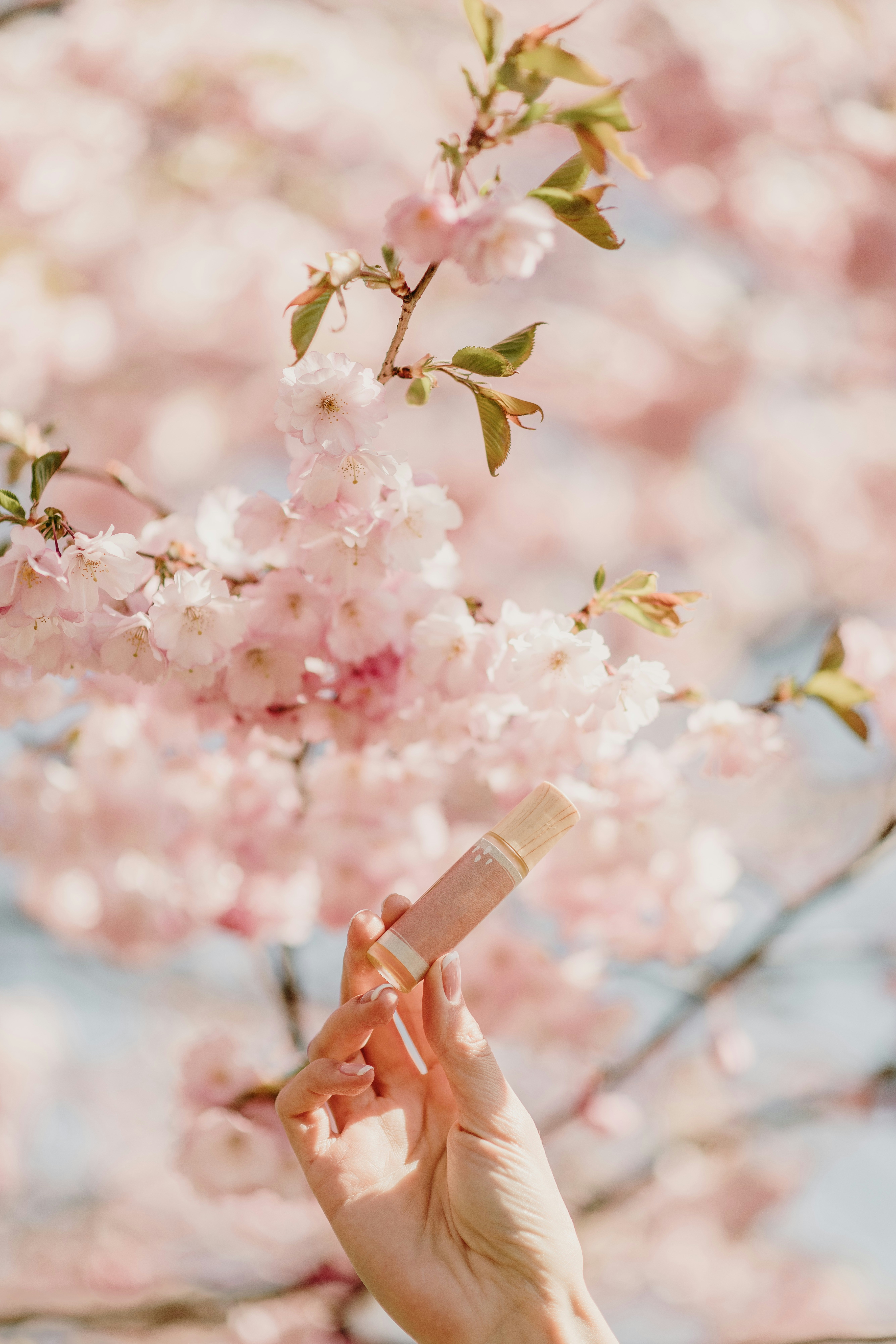 Photo by anitaaustvika