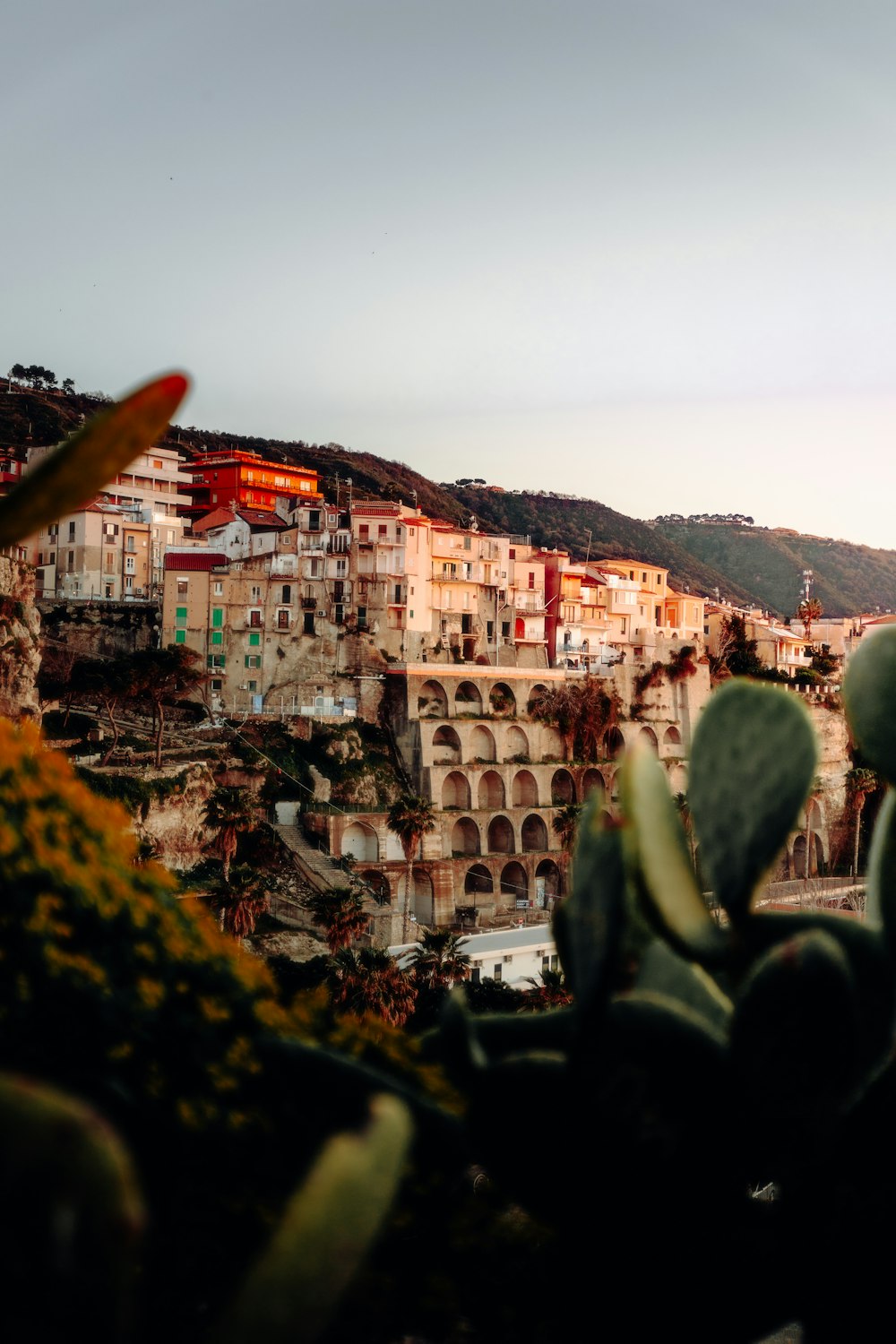 a view of a city with a cactus in the foreground