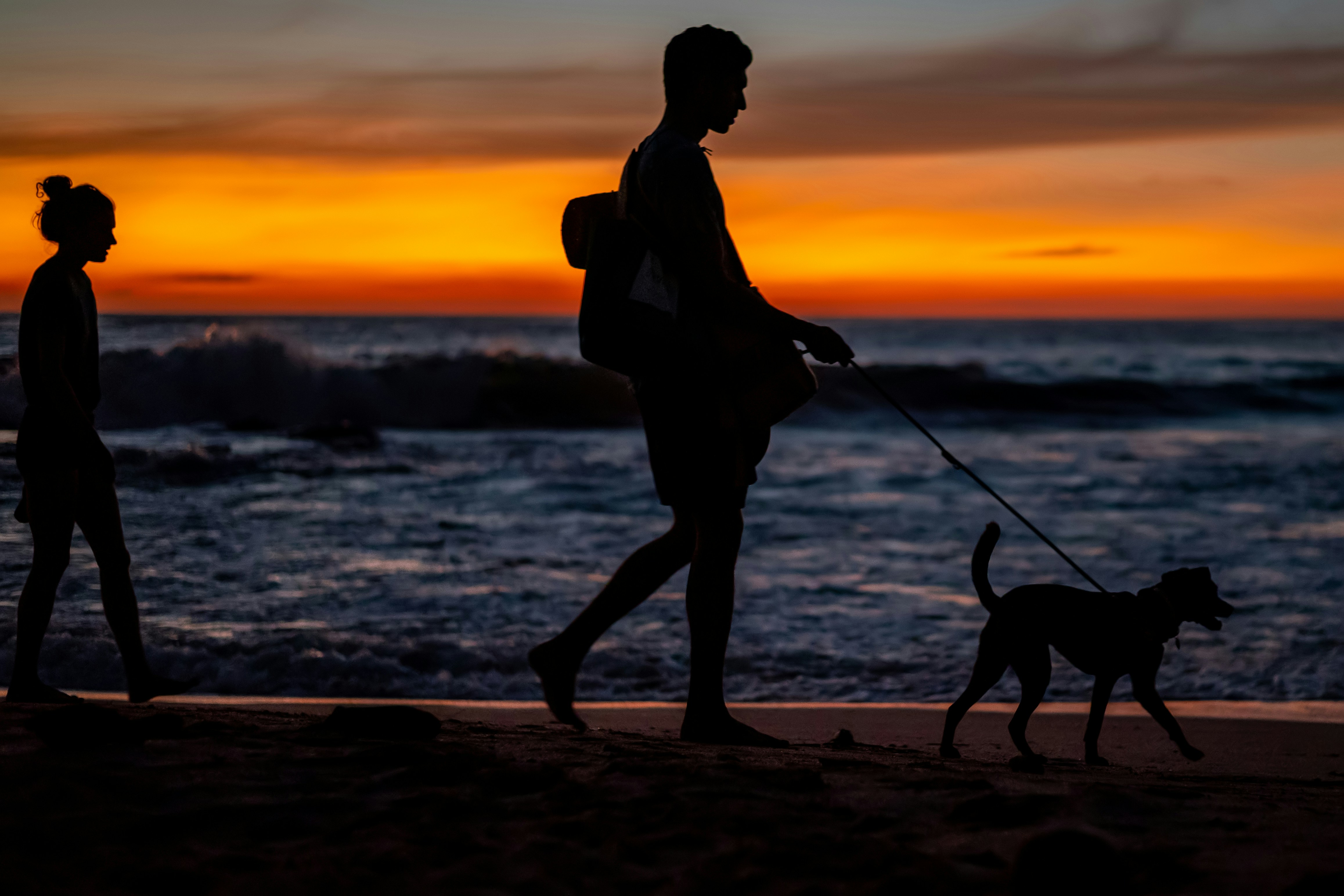 Sunset Stroll with Man's Best Friend - This beautiful photograph captures the romance and tranquility of a sunset stroll in Nosara, Costa Rica. A couple is seen walking their dog along the shoreline, the golden hues of the sun casting their silhouettes against the beautiful orange sky. The sounds of the waves crashing against the shore and the cool ocean breeze make for a perfect evening walk. This photograph perfectly captures the simple joys of life and the beauty of nature.
