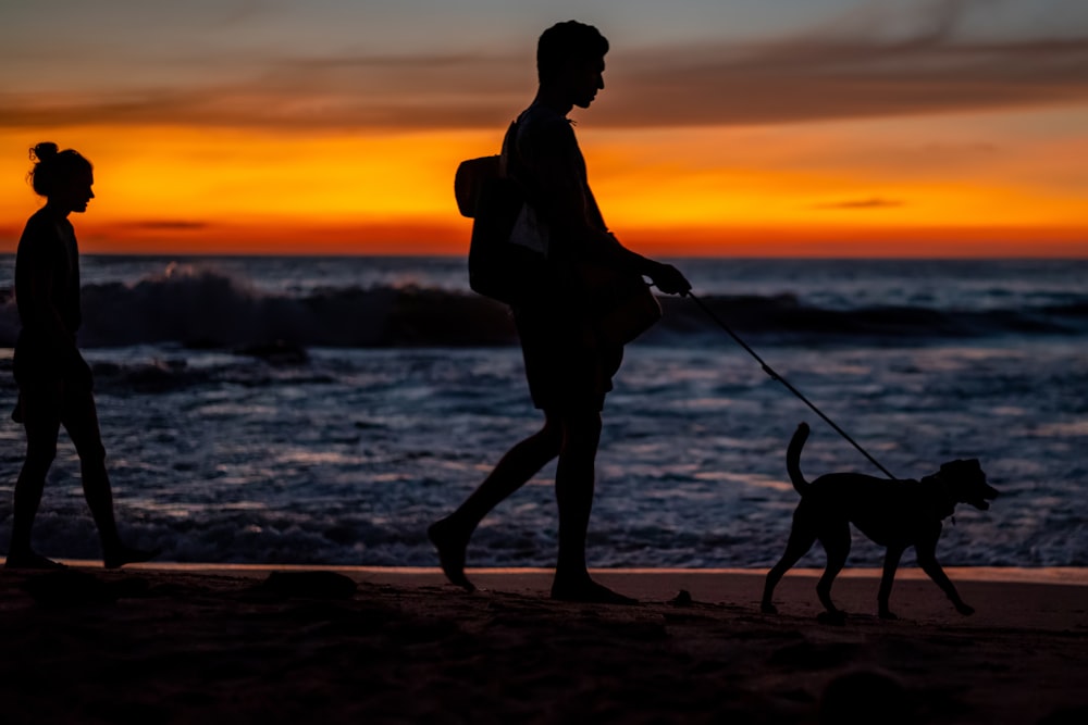 a man and a woman walking a dog on a beach