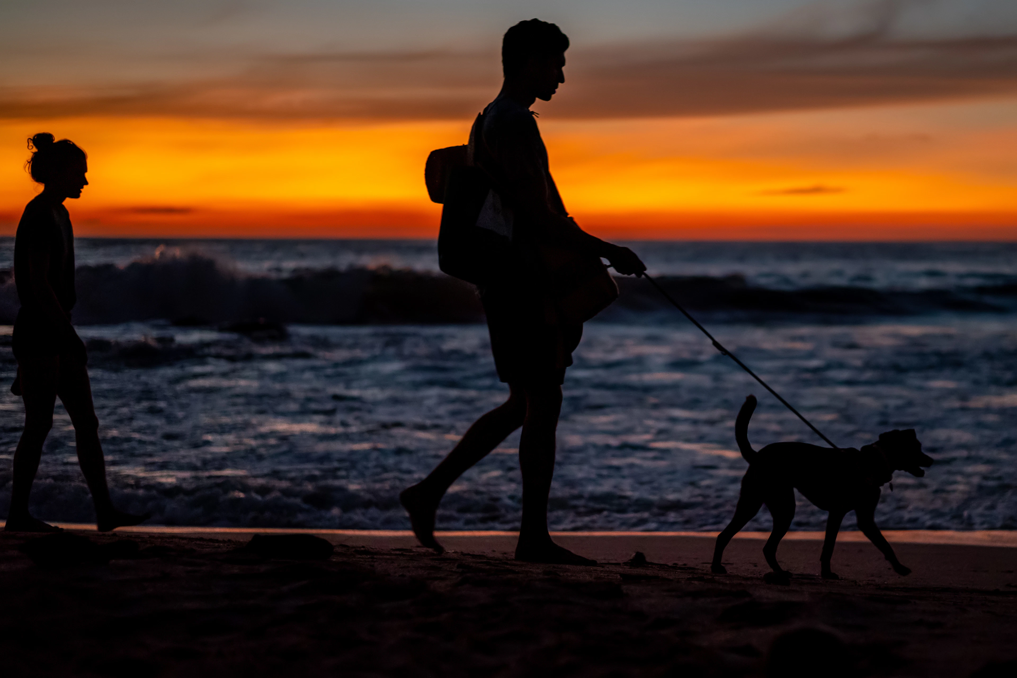 A couple walking a dog on the beach at Nosara