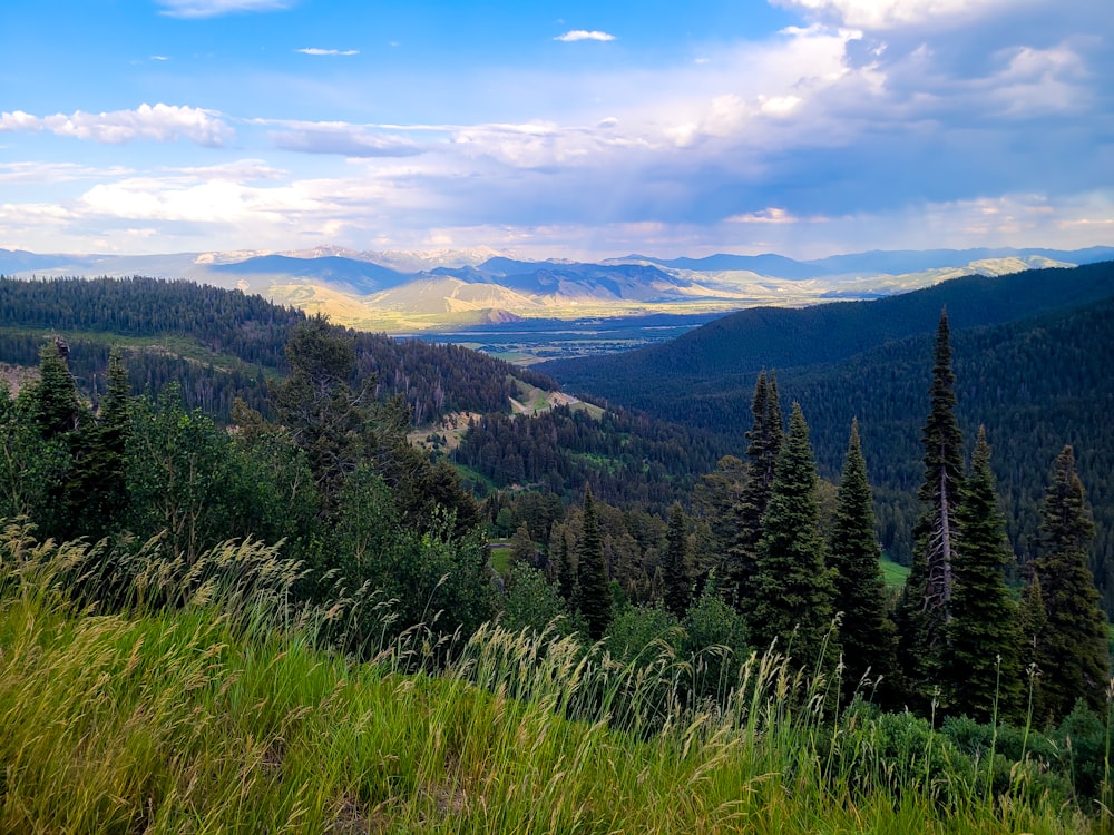 a scenic view of a valley with mountains in the background