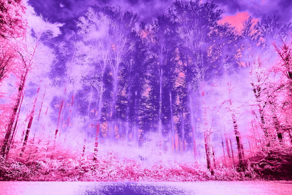 a digital painting of a purple forest