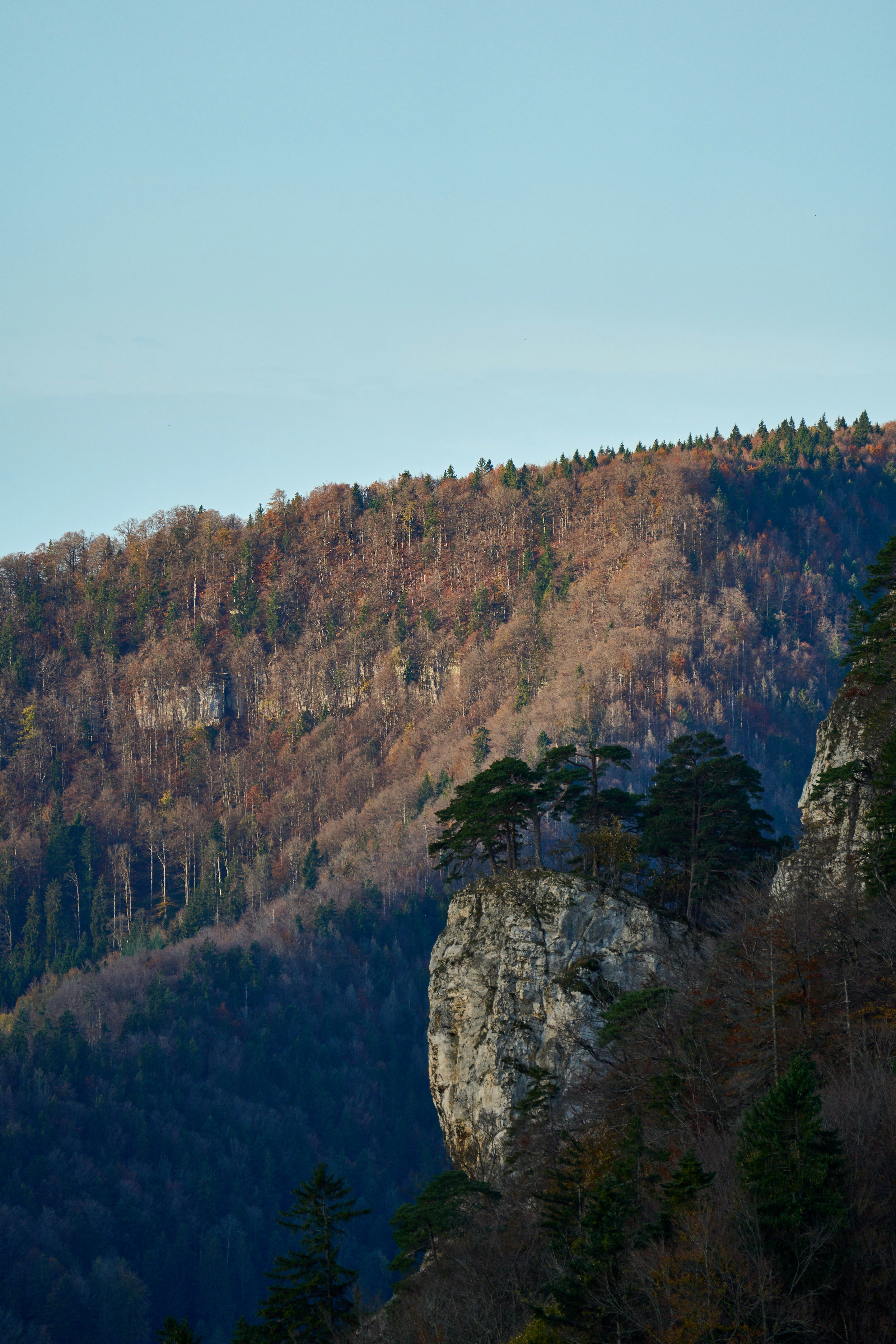 Photo by wolfgang_hasselmann