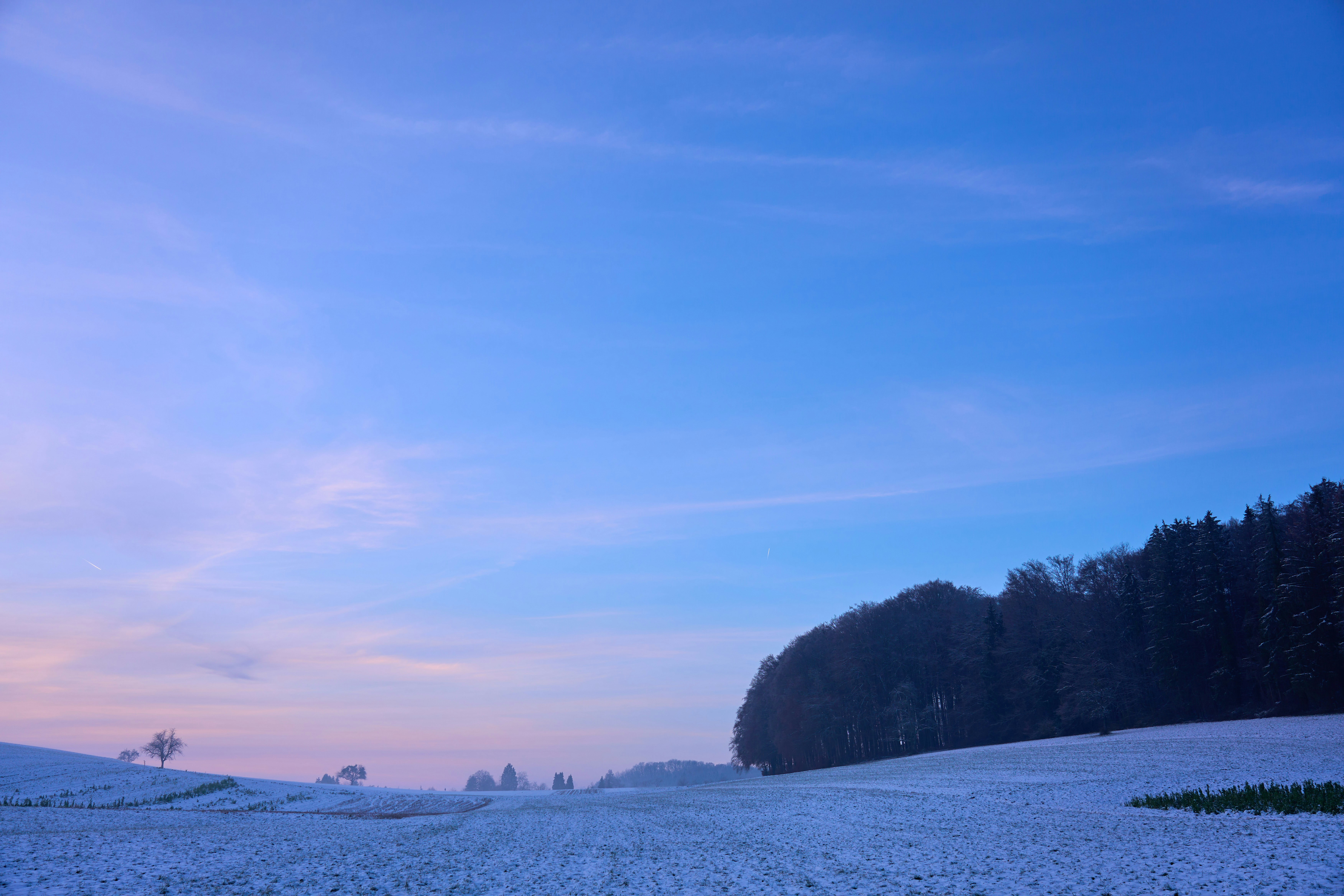 Photo by wolfgang_hasselmann