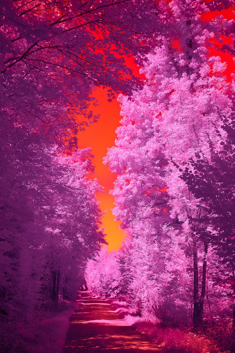 a red and purple photo of a road in the woods