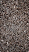 A densely packed assemblage of metal screws, overlapping and haphazardly arranged. The screws are dark in color, with a glossy appearance, and vary slightly in size and type. Some screws have rounded heads while others are flat.