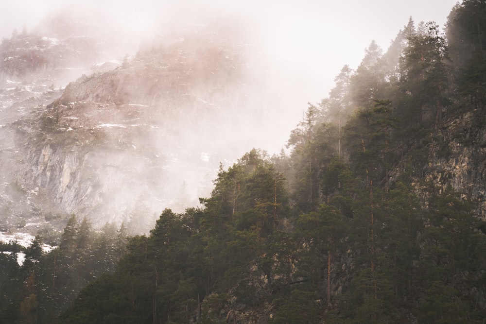 a mountain covered in fog and trees on a cloudy day