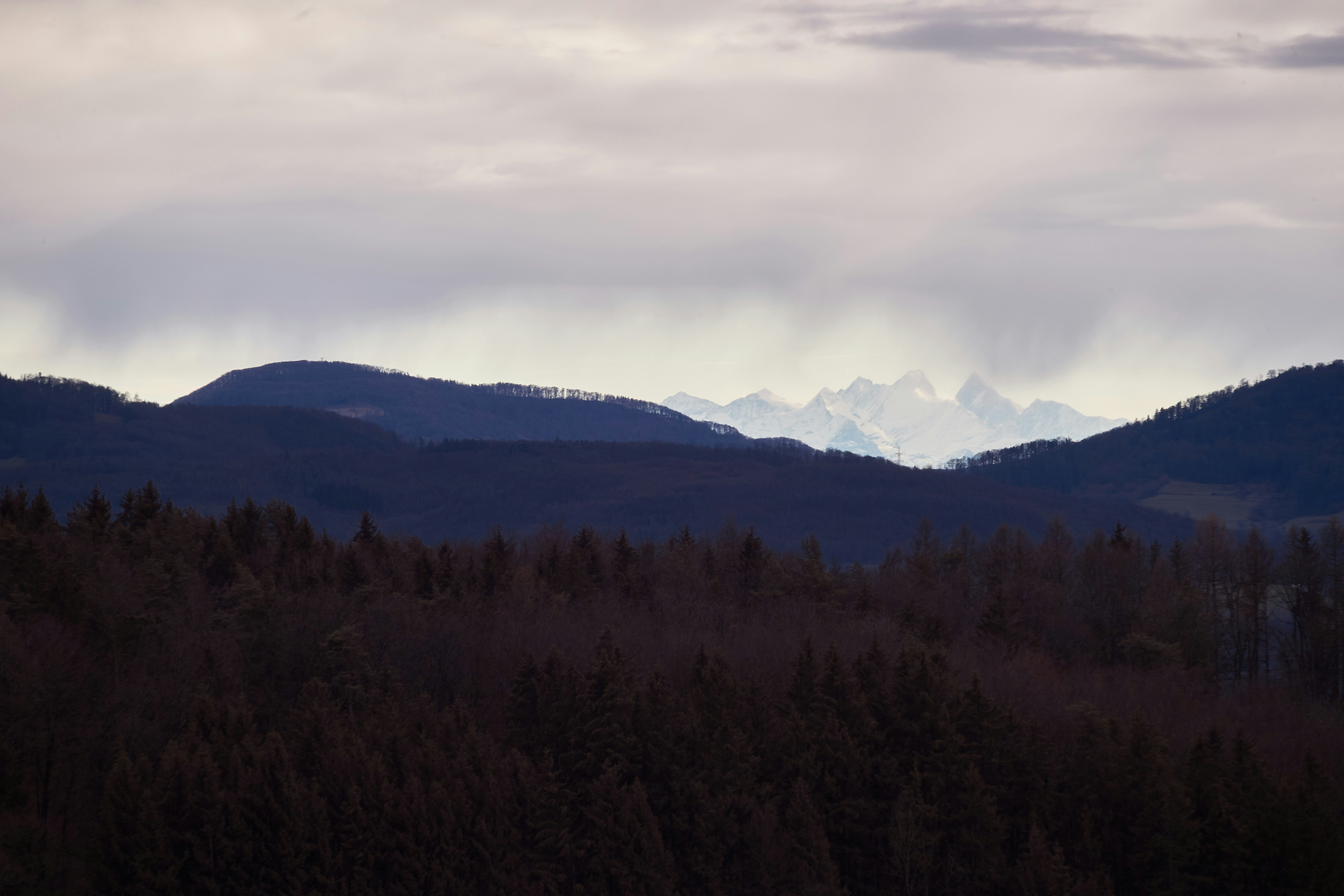 Photo by wolfgang_hasselmann