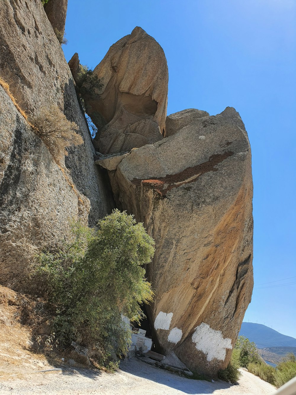 a large rock with some trees growing out of it