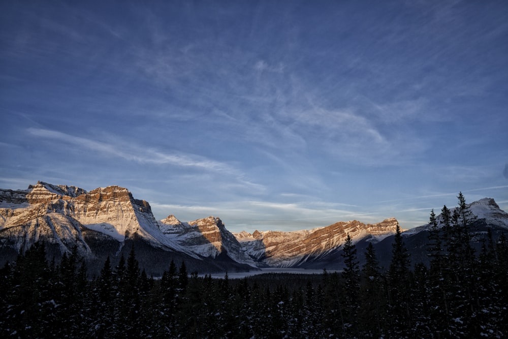 a view of a mountain range with trees in the foreground