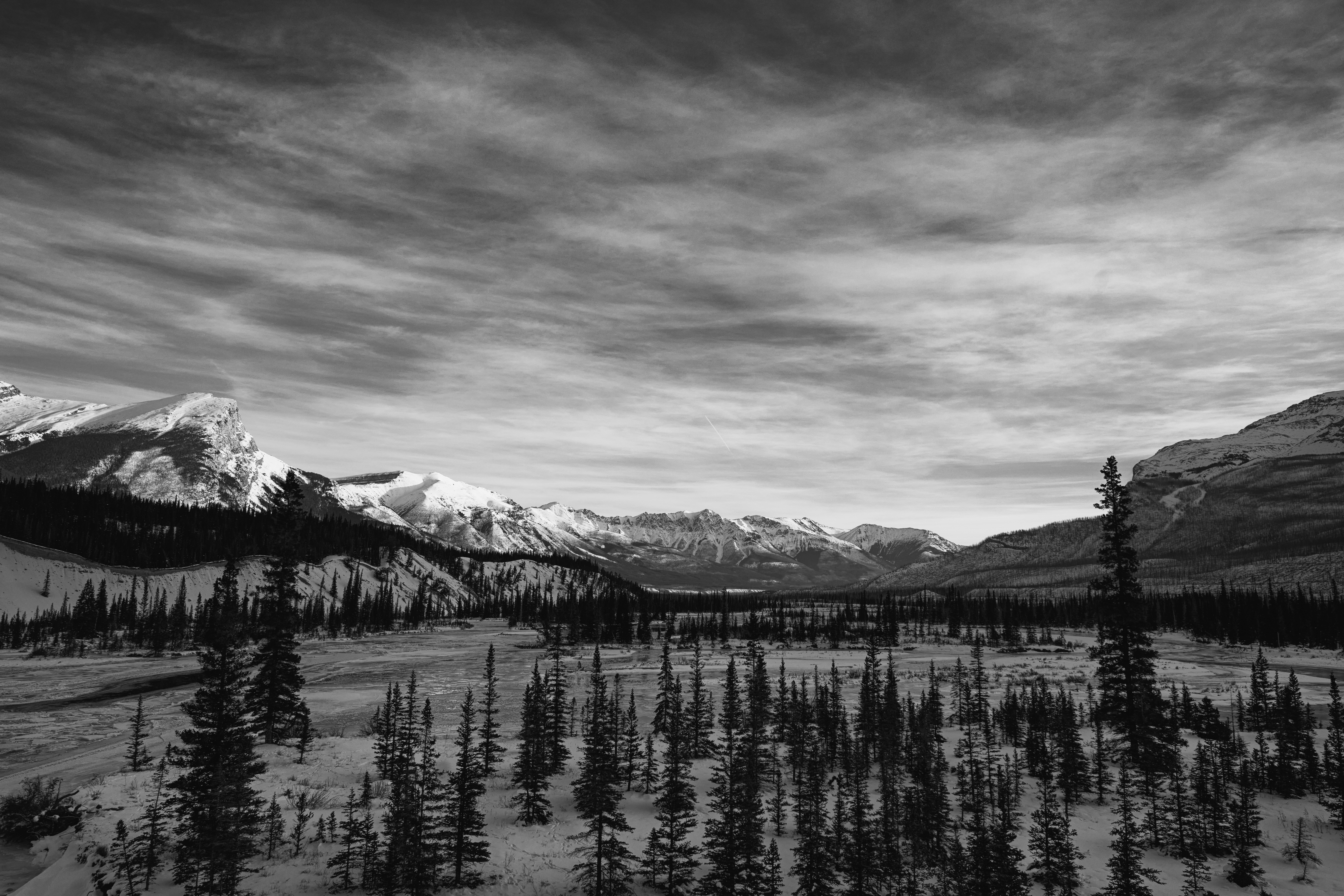 Photo by benjaletzke