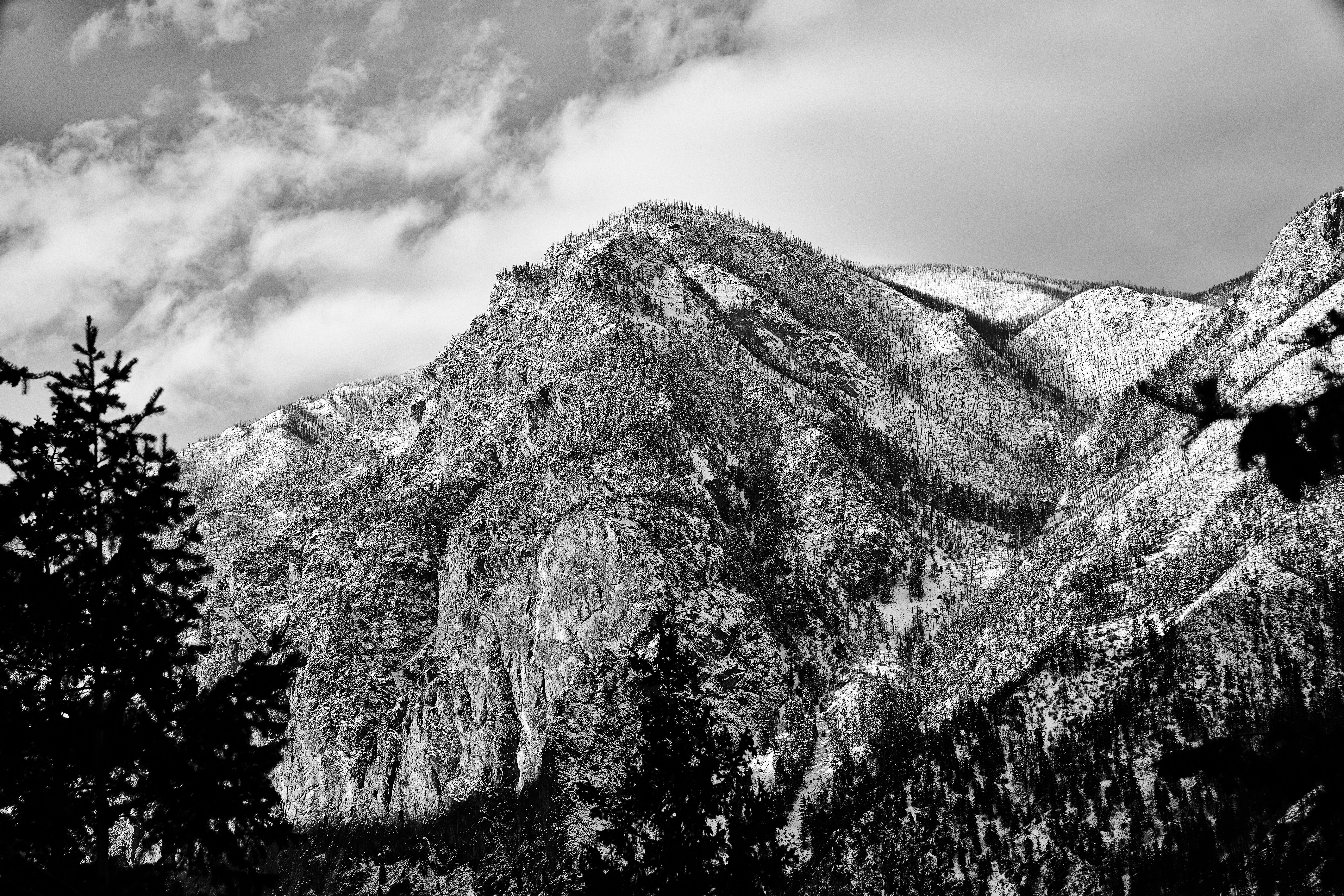 Photo by benjaletzke