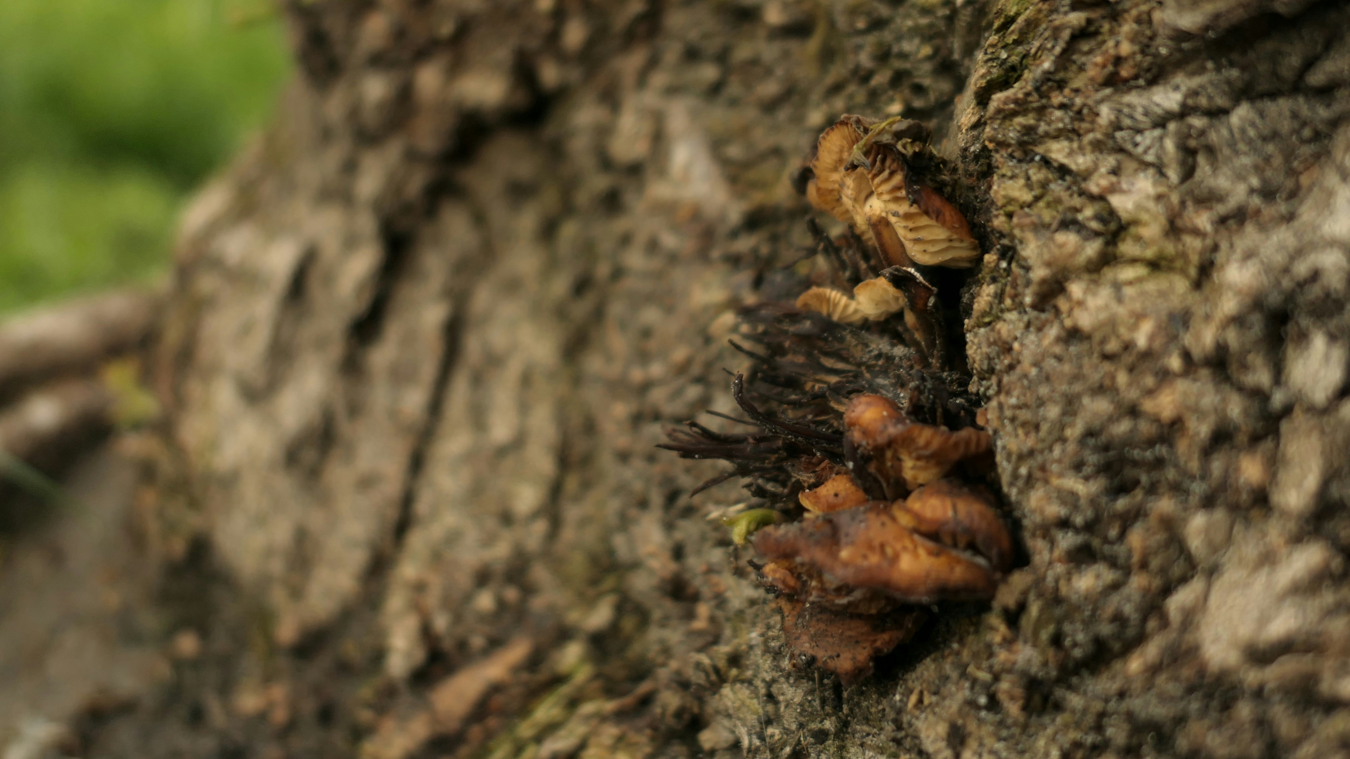 Photo by margarita_trofimova