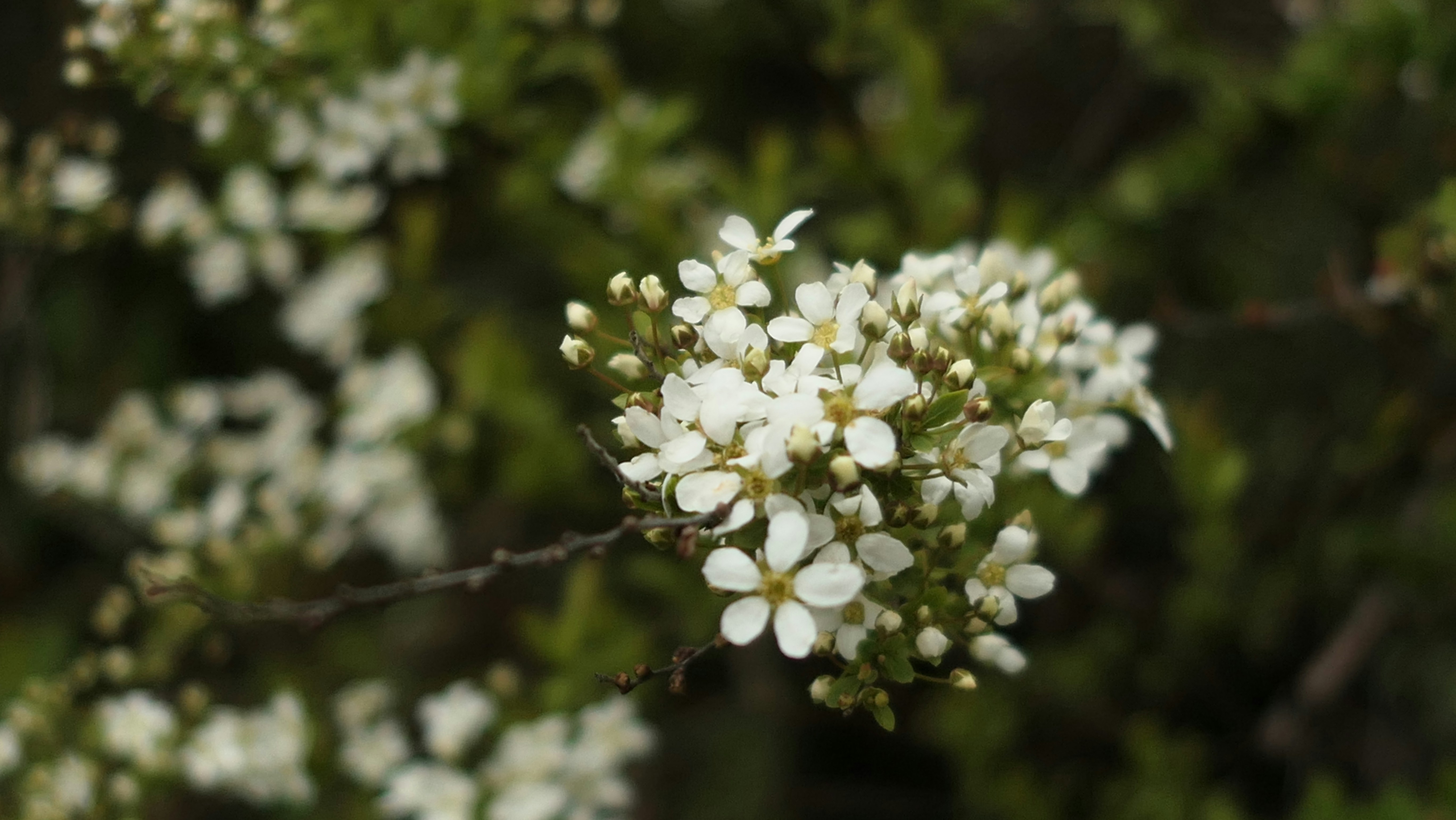 Photo by margarita_trofimova