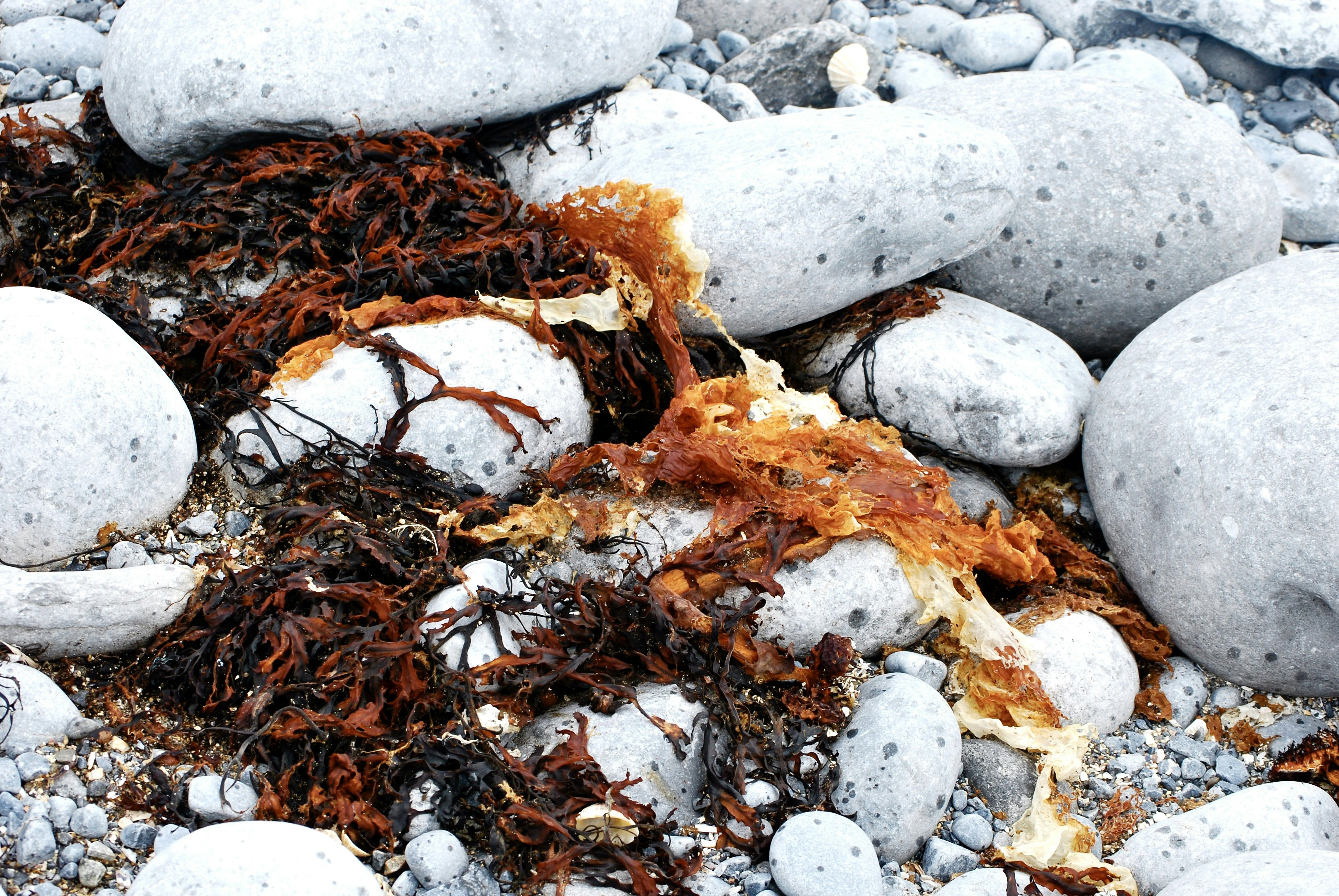 Photo by hlandkammer