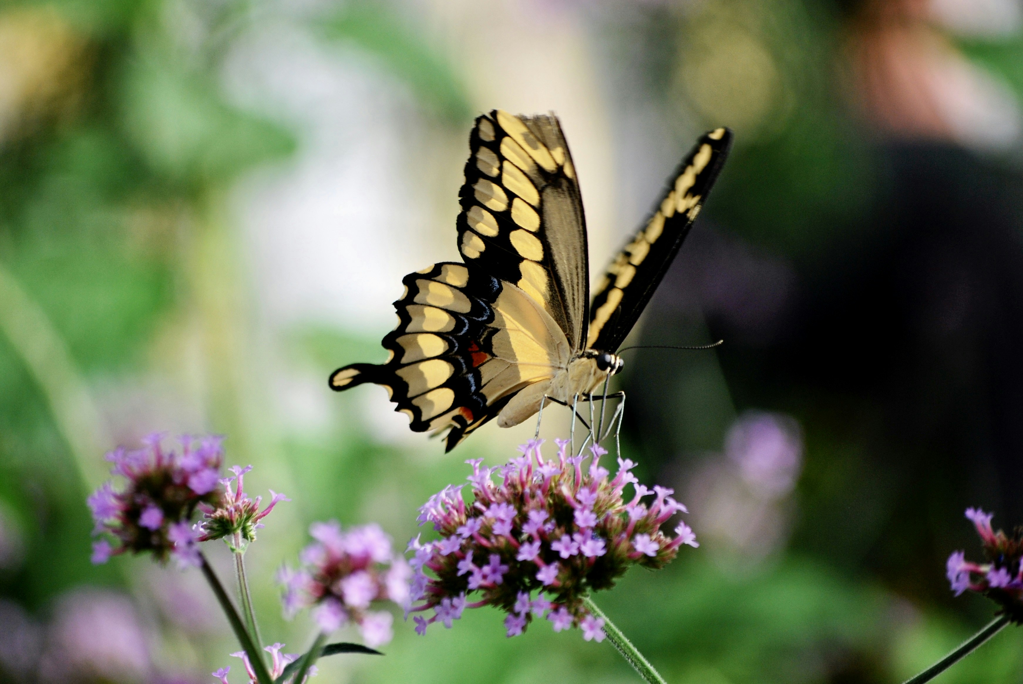 Photo by hlandkammer