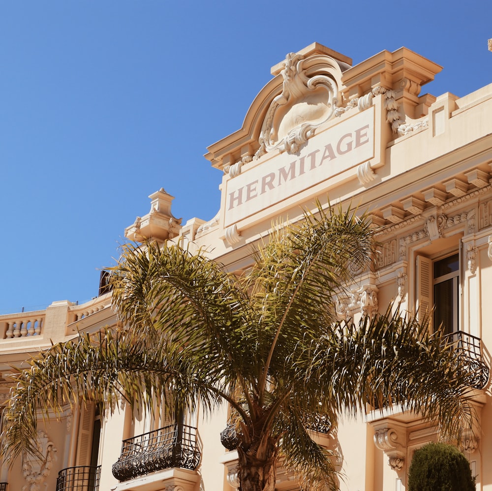 a building with a palm tree in front of it